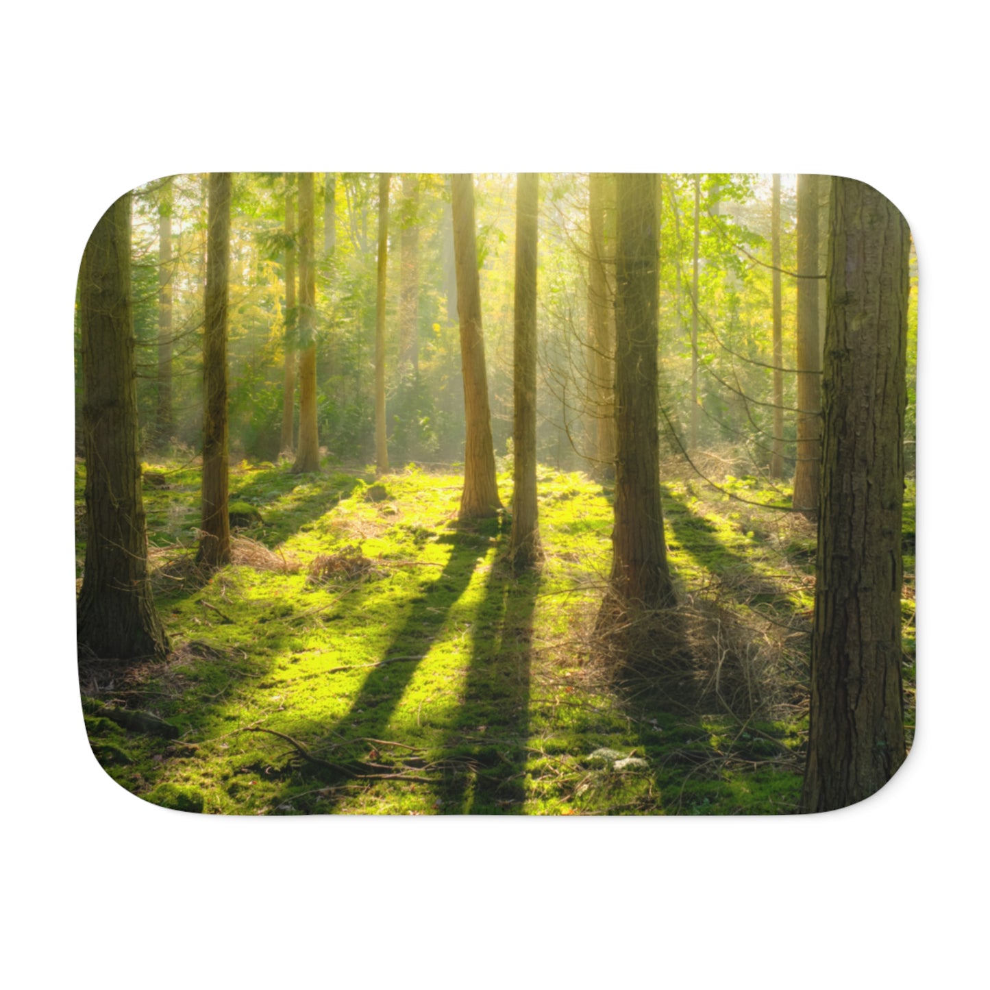 “Mossy Woodland” Sherpa Blanket