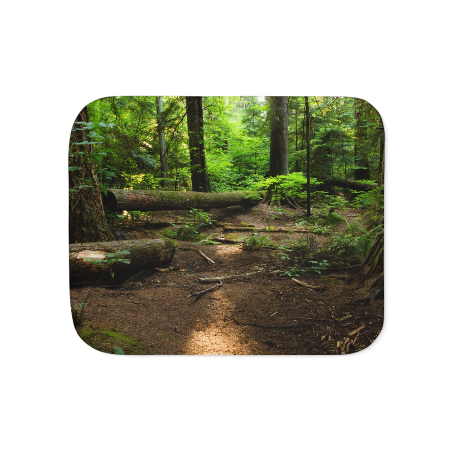 “Fallen Tree” Sherpa Blanket