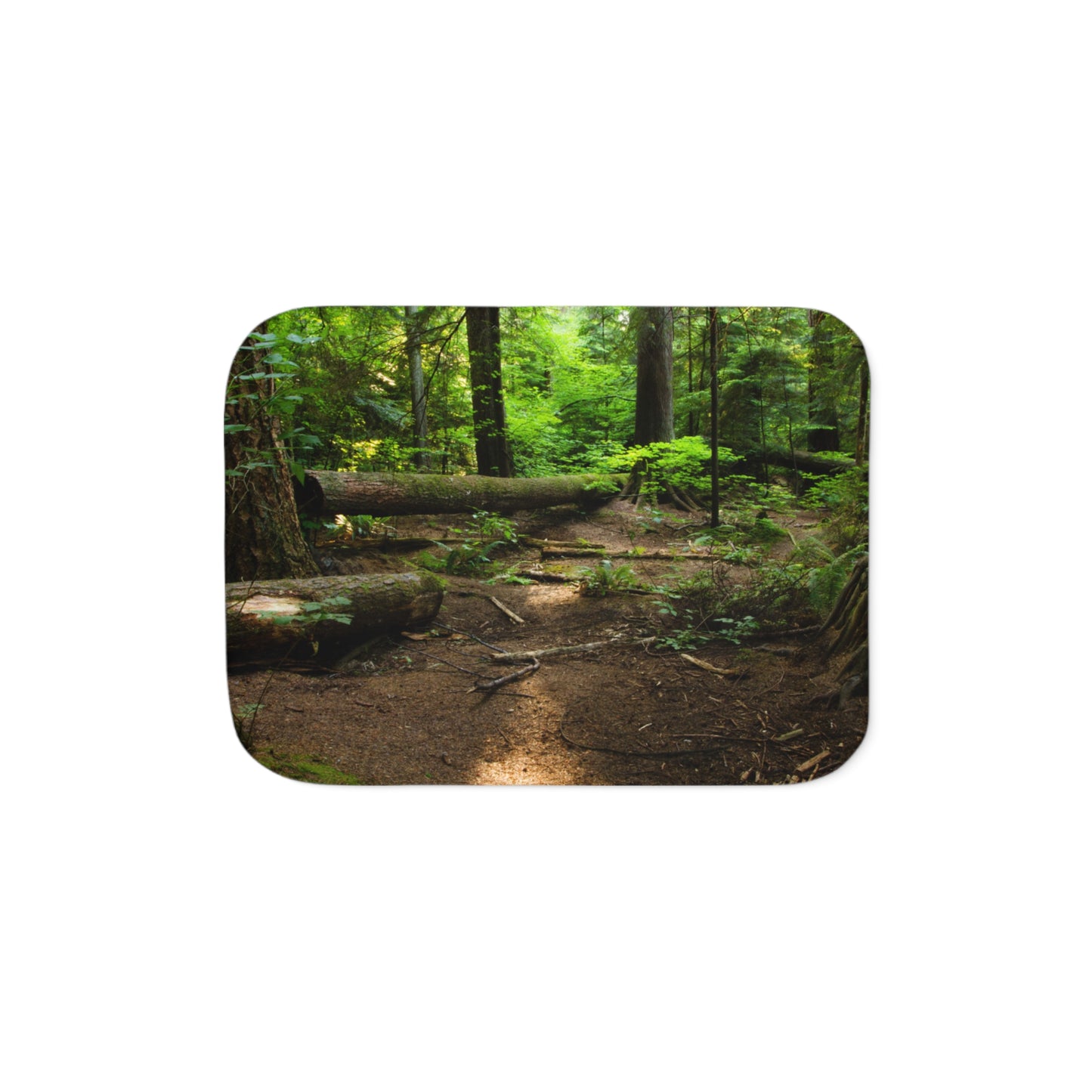 “Fallen Tree” Sherpa Blanket