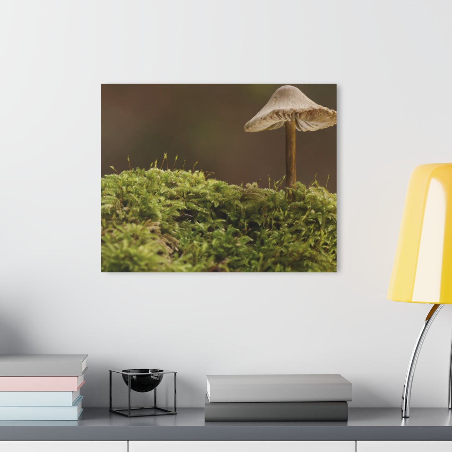 “Mushroom On Mossy Mound” Acrylic Prints (French Cleat Hanging)