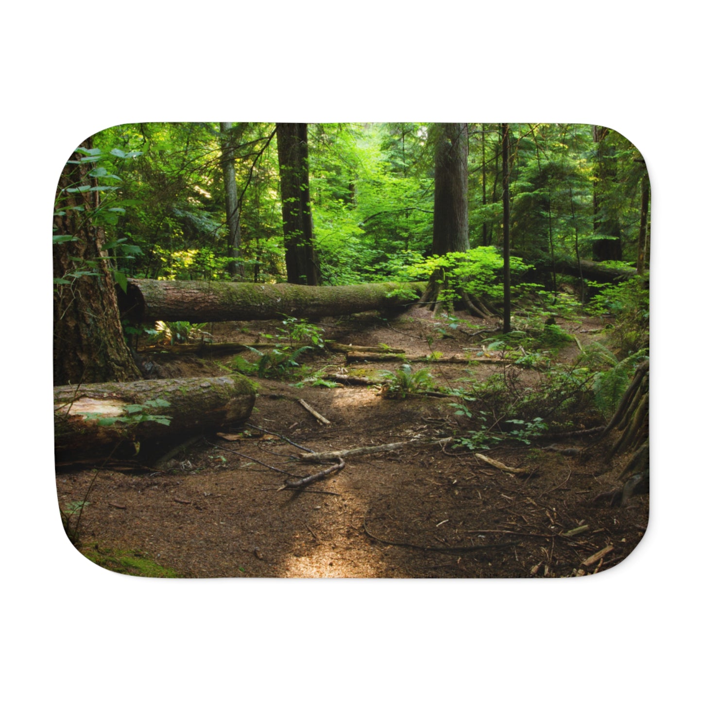 “Fallen Tree” Sherpa Blanket