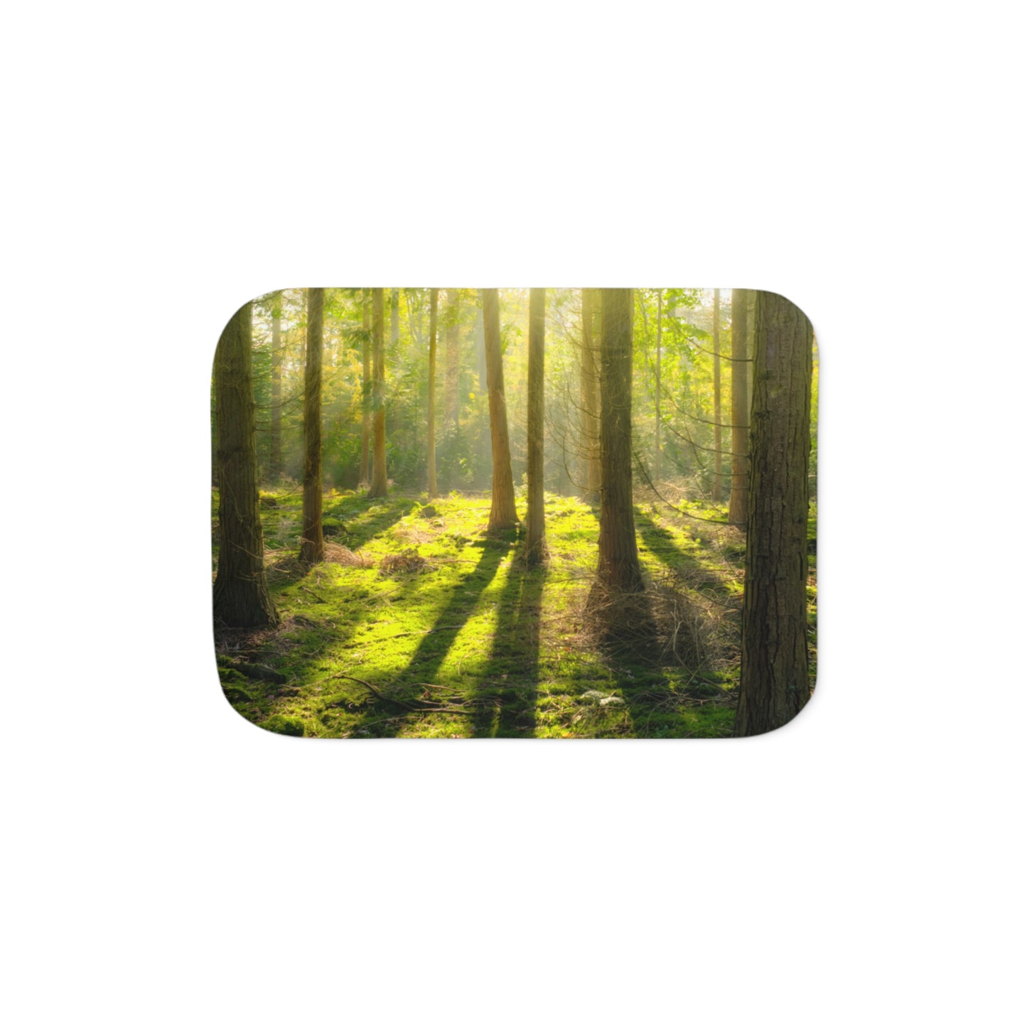 “Mossy Woodland” Sherpa Blanket