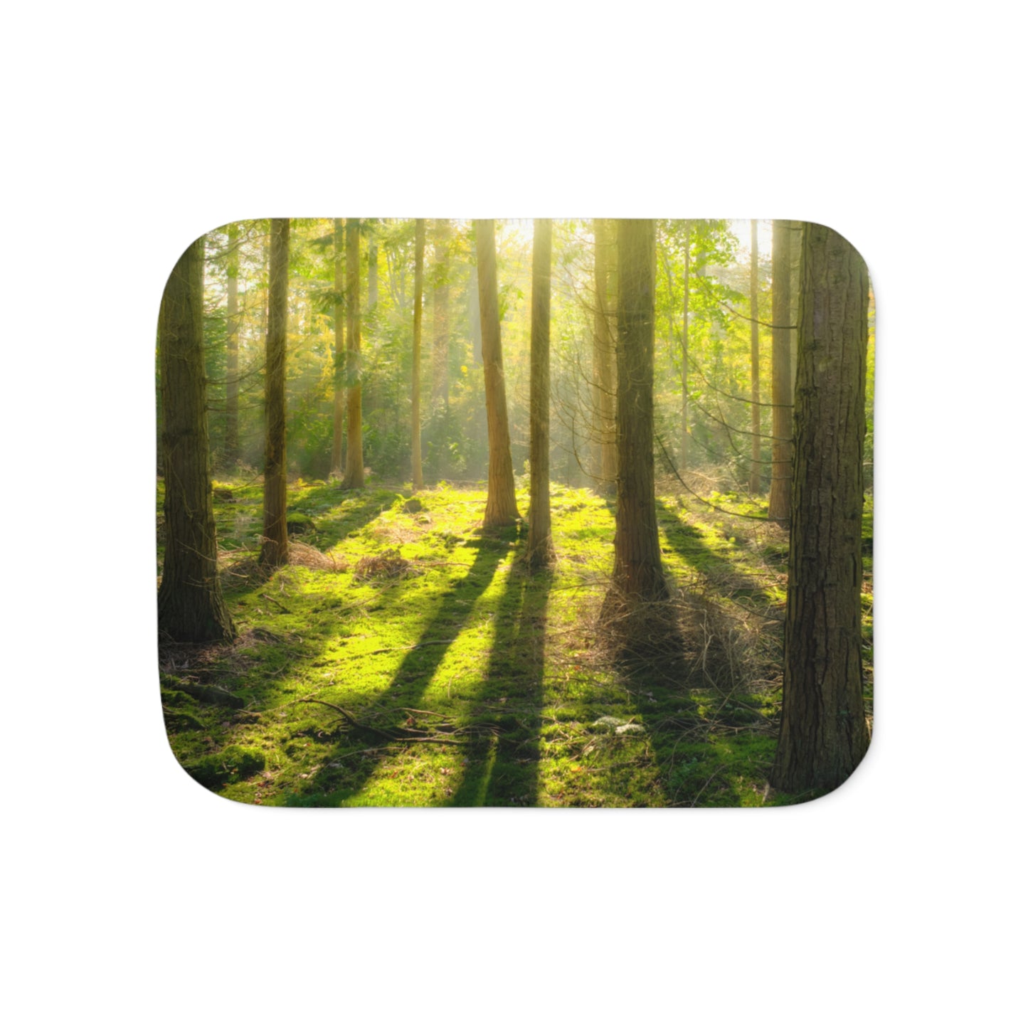 “Mossy Woodland” Sherpa Blanket