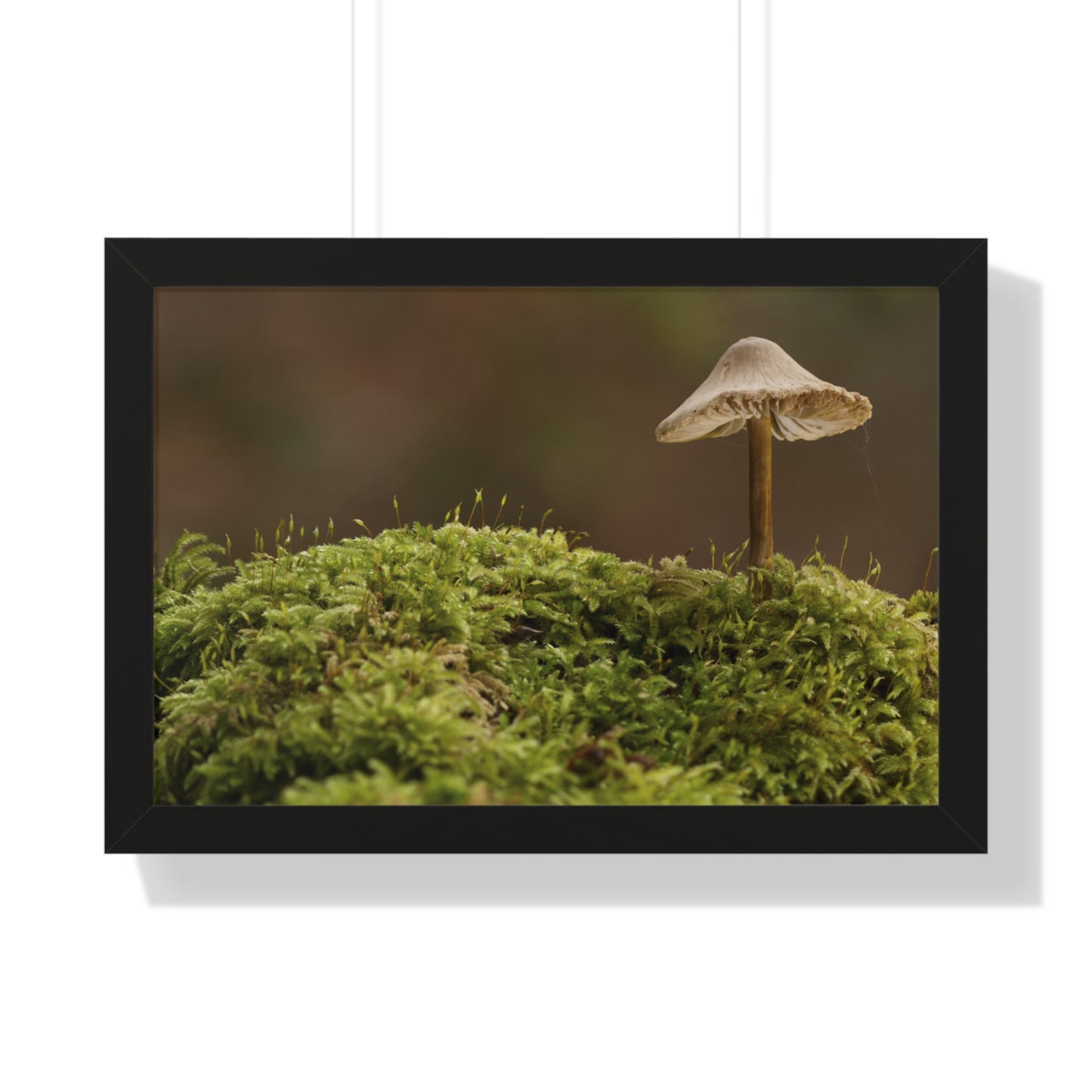 "Mushroom on Mossy Mound" Framed Horizontal Poster