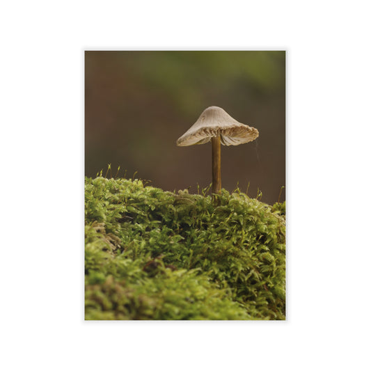 "Mushroom On Mossy Mound" Wall Decals