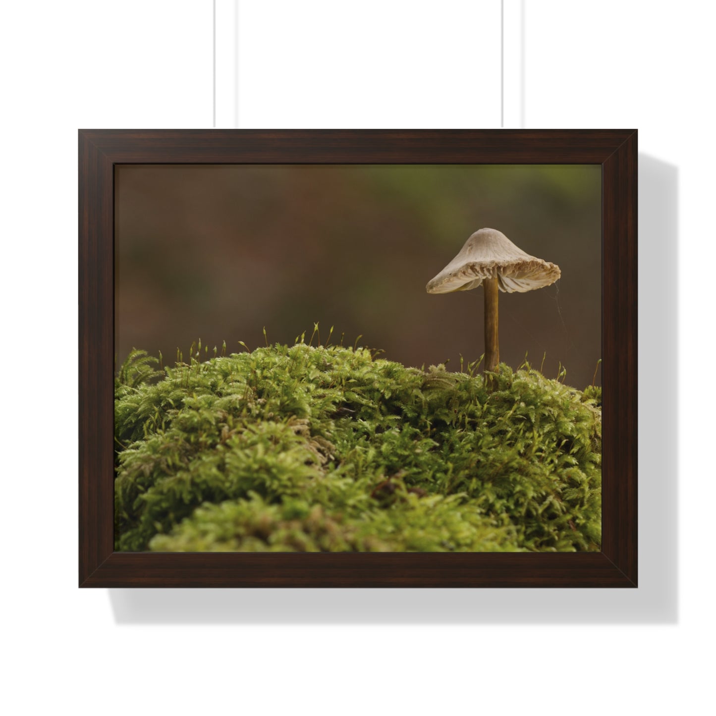 "Mushroom on Mossy Mound" Framed Horizontal Poster