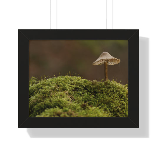 "Mushroom on Mossy Mound" Framed Horizontal Poster