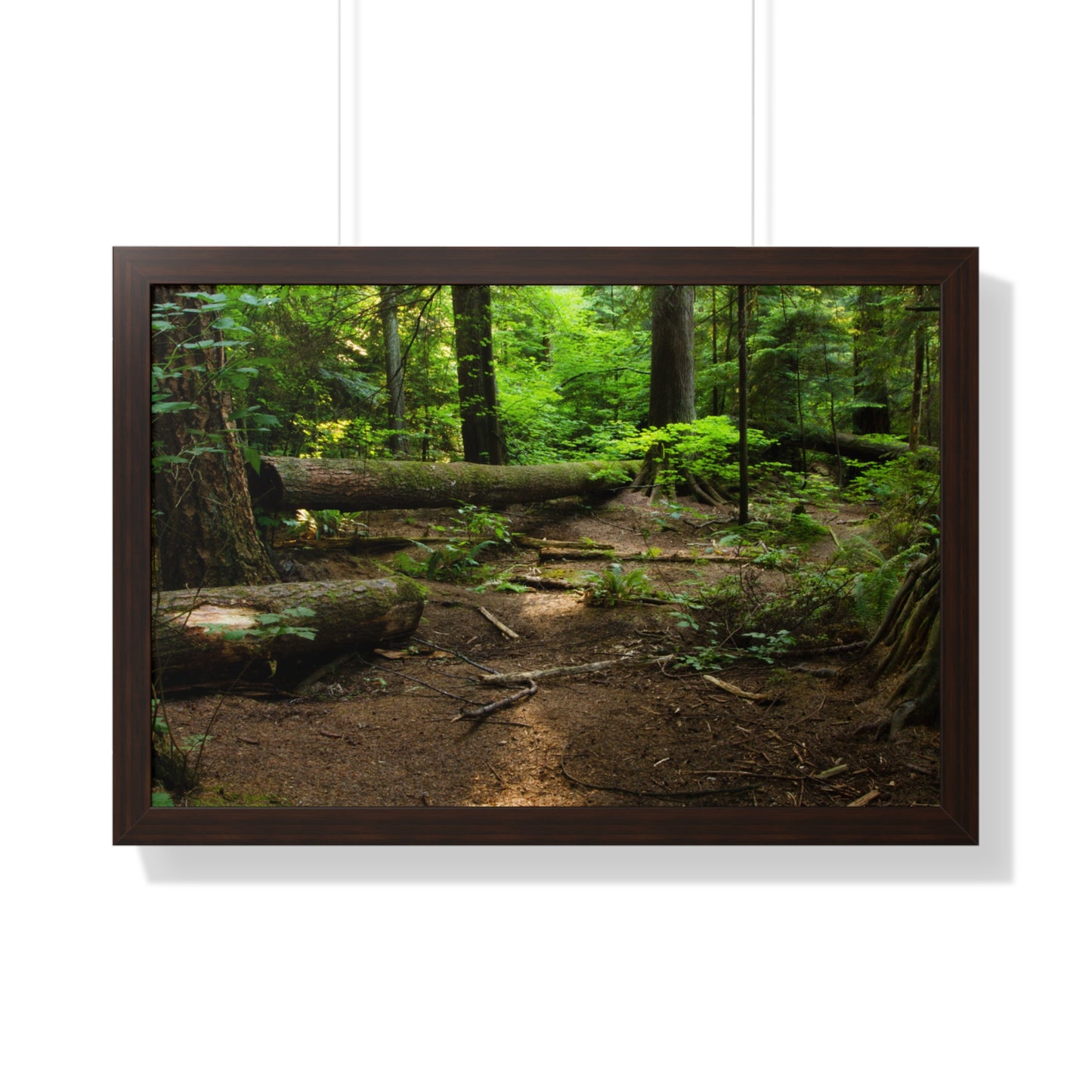 "Fallen Tree" Framed Horizontal Poster