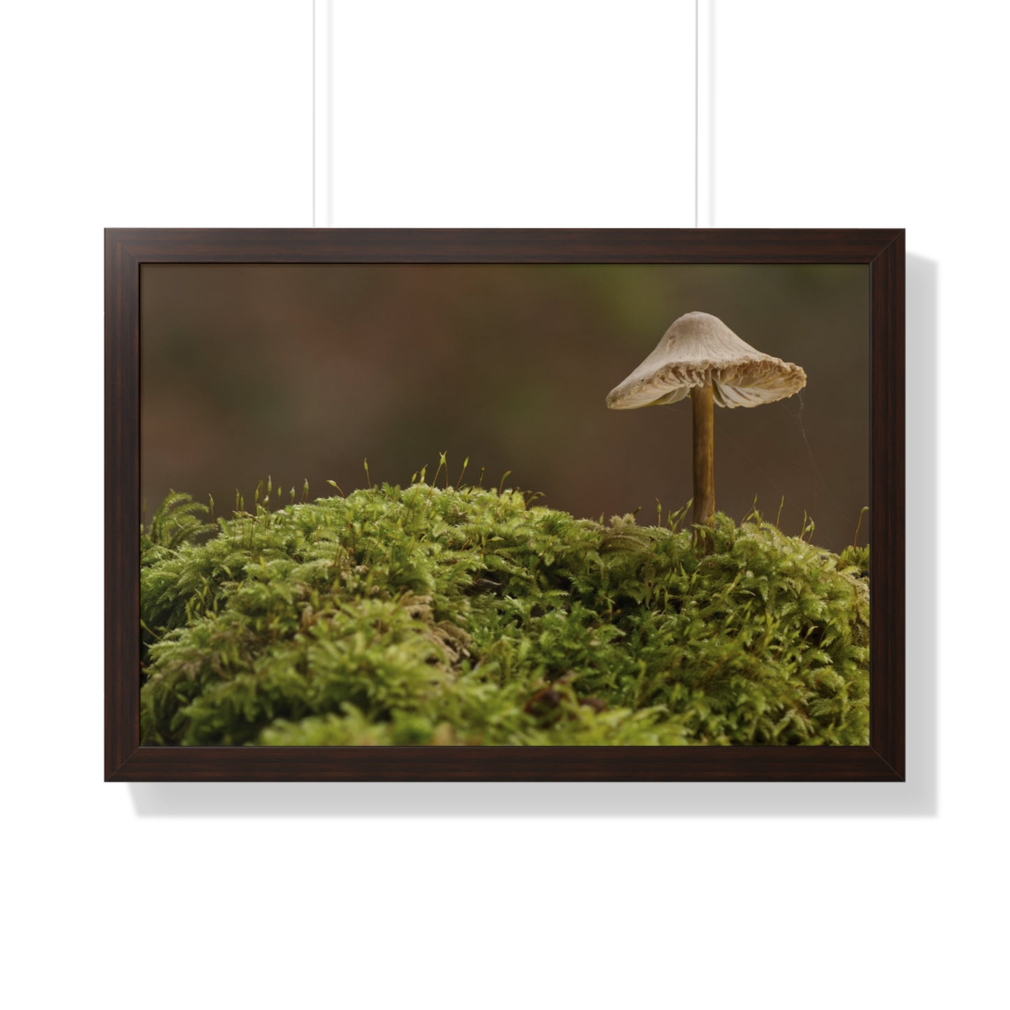 "Mushroom on Mossy Mound" Framed Horizontal Poster