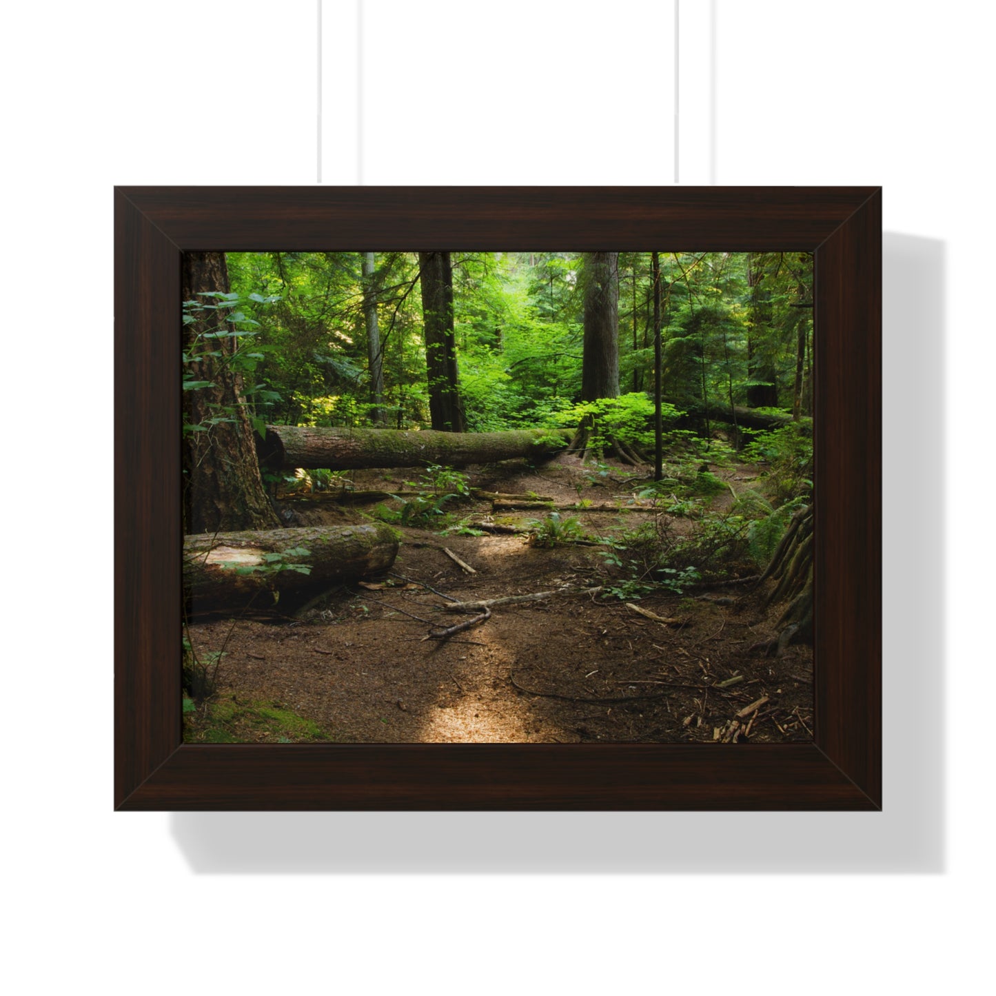 "Fallen Tree" Framed Horizontal Poster