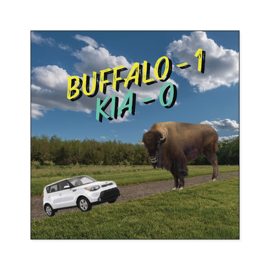 "Buffalo vs Kia" Square Stickers, Indoor\Outdoor