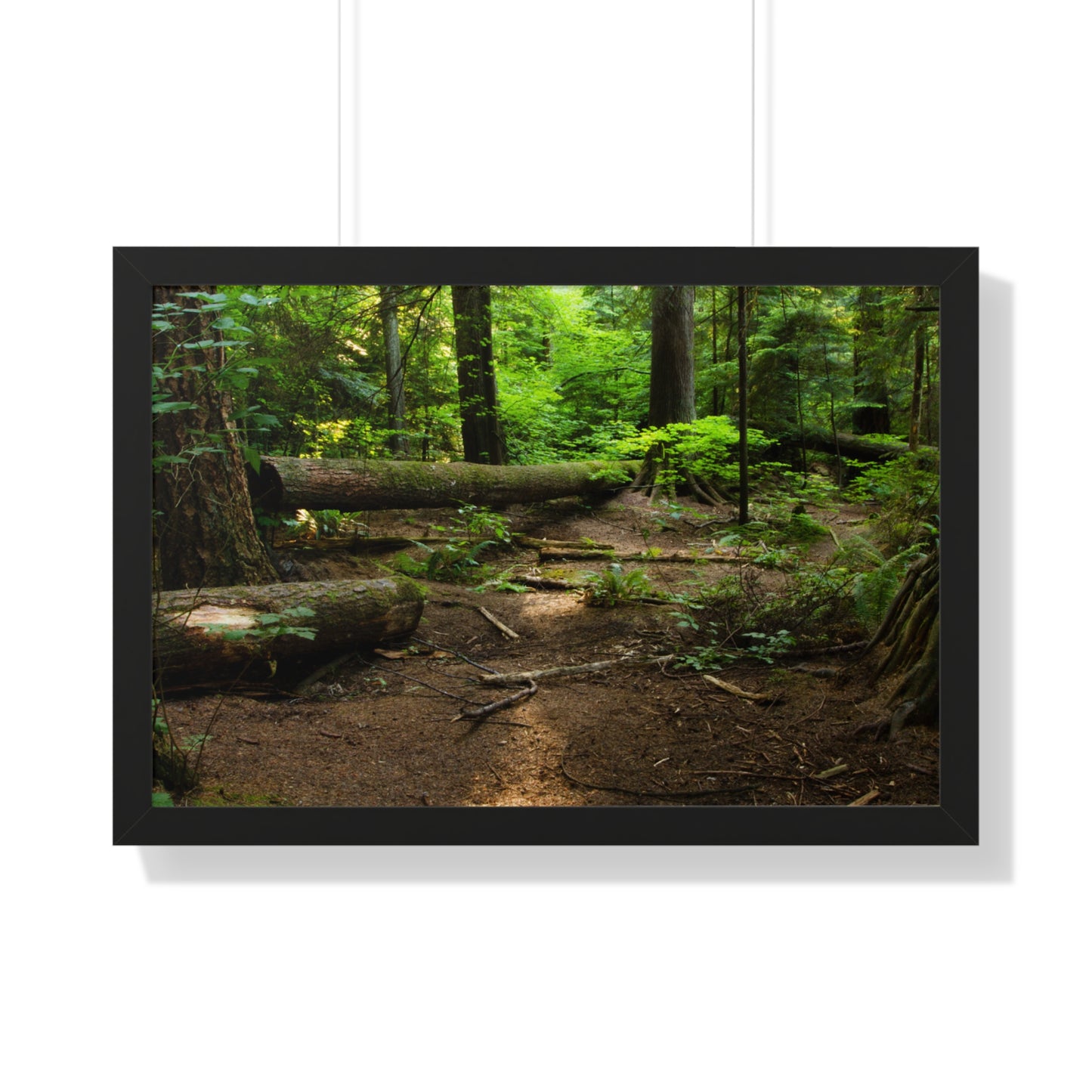 "Fallen Tree" Framed Horizontal Poster