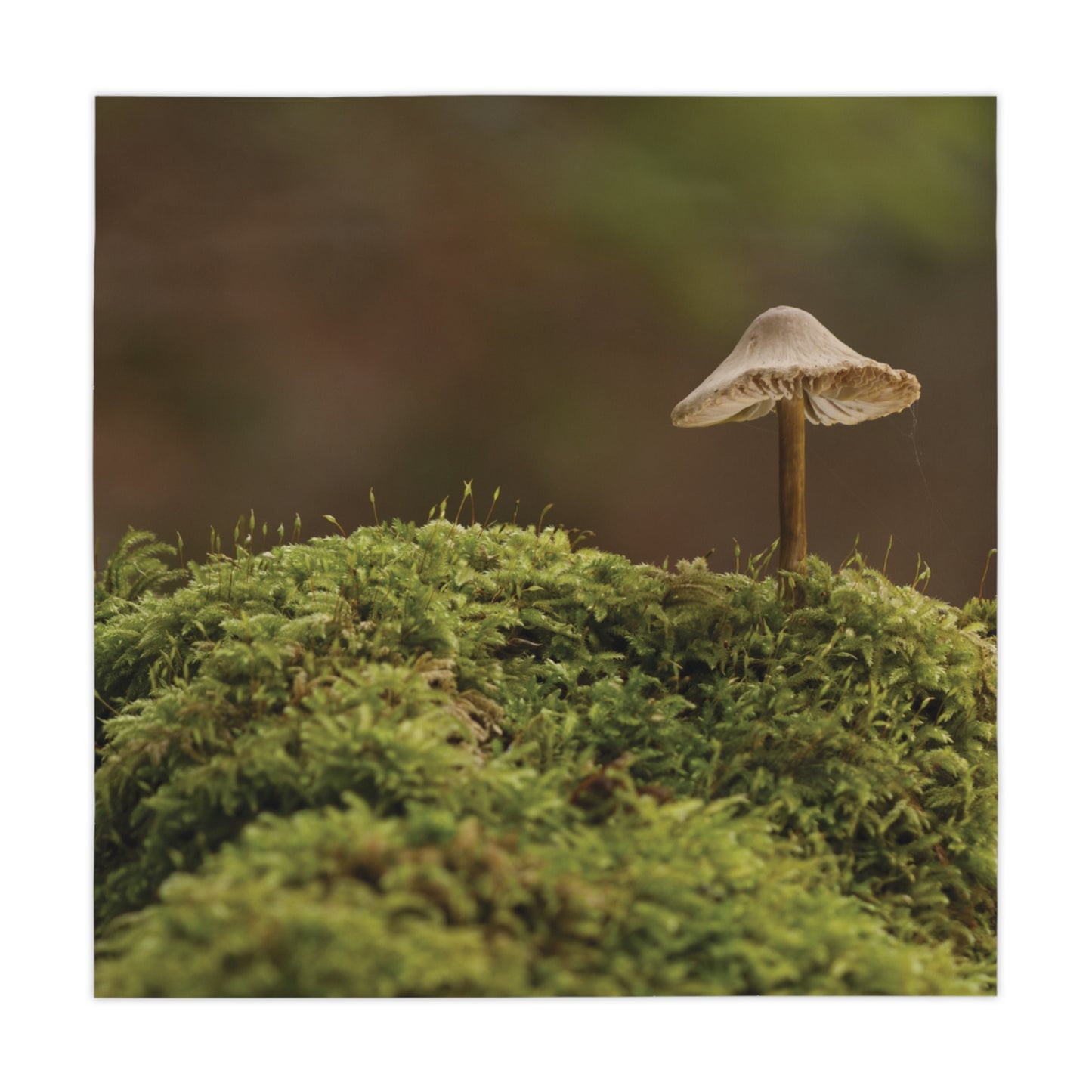 "Mushroom On Mossy Mound" Tablecloth