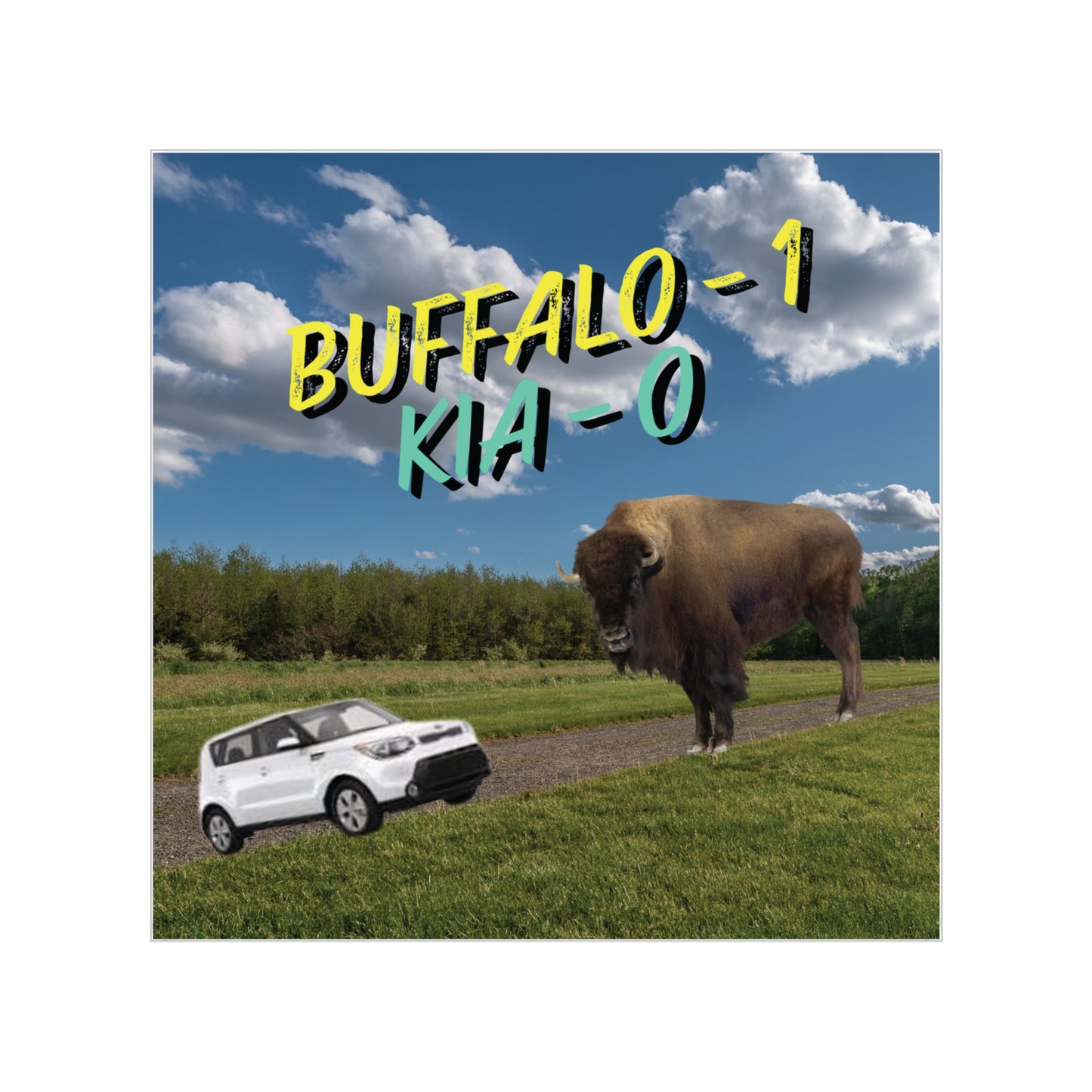 "Buffalo vs Kia" Transparent Outdoor Stickers, Square, 1pc