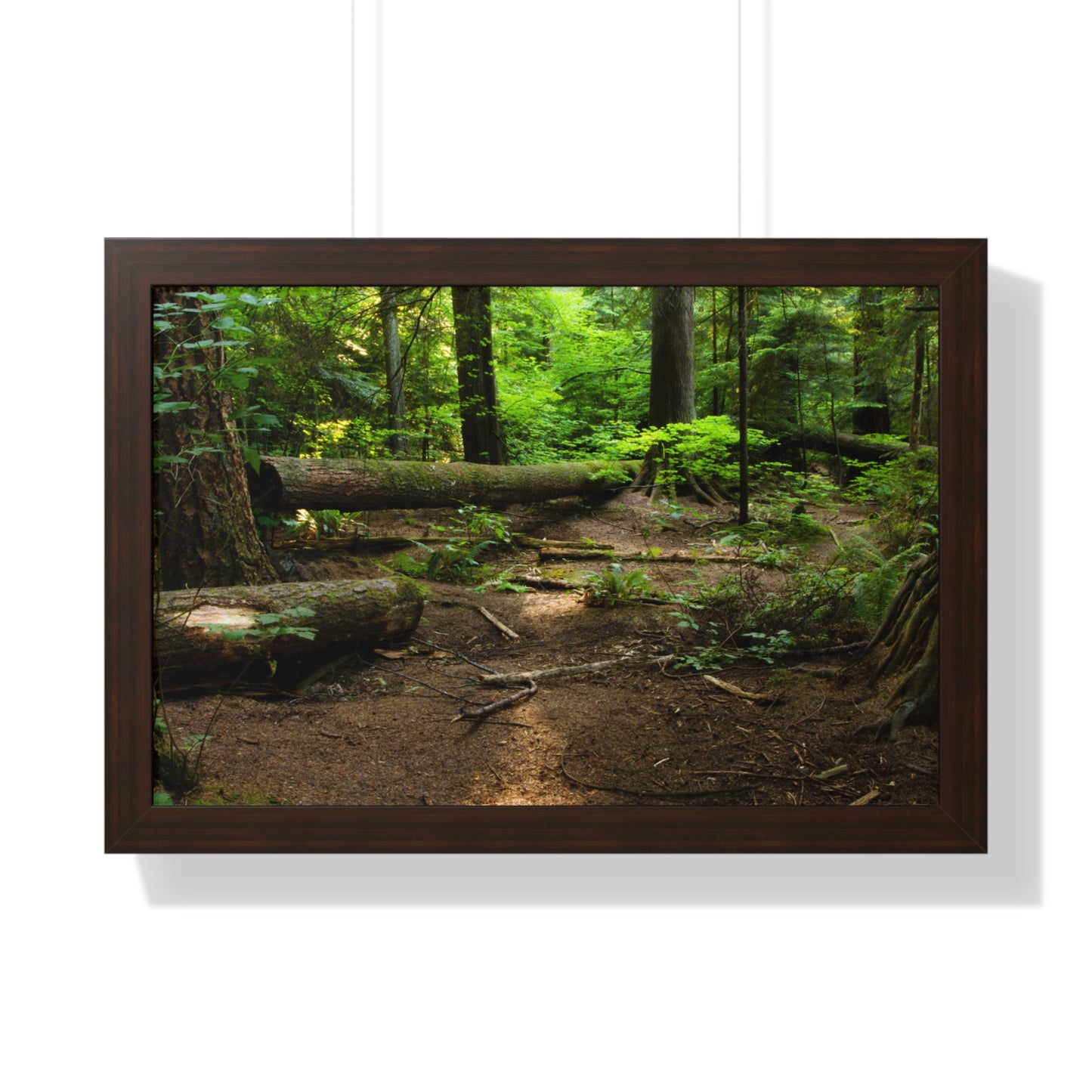 "Fallen Tree" Framed Horizontal Poster