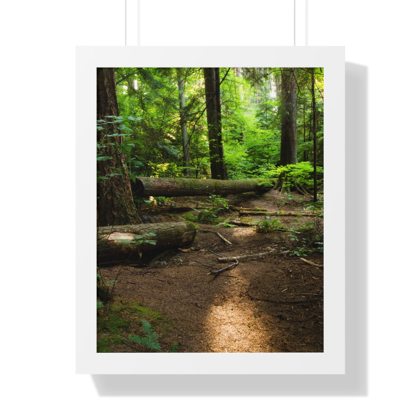 "Fallen Tree" Framed Vertical Poster