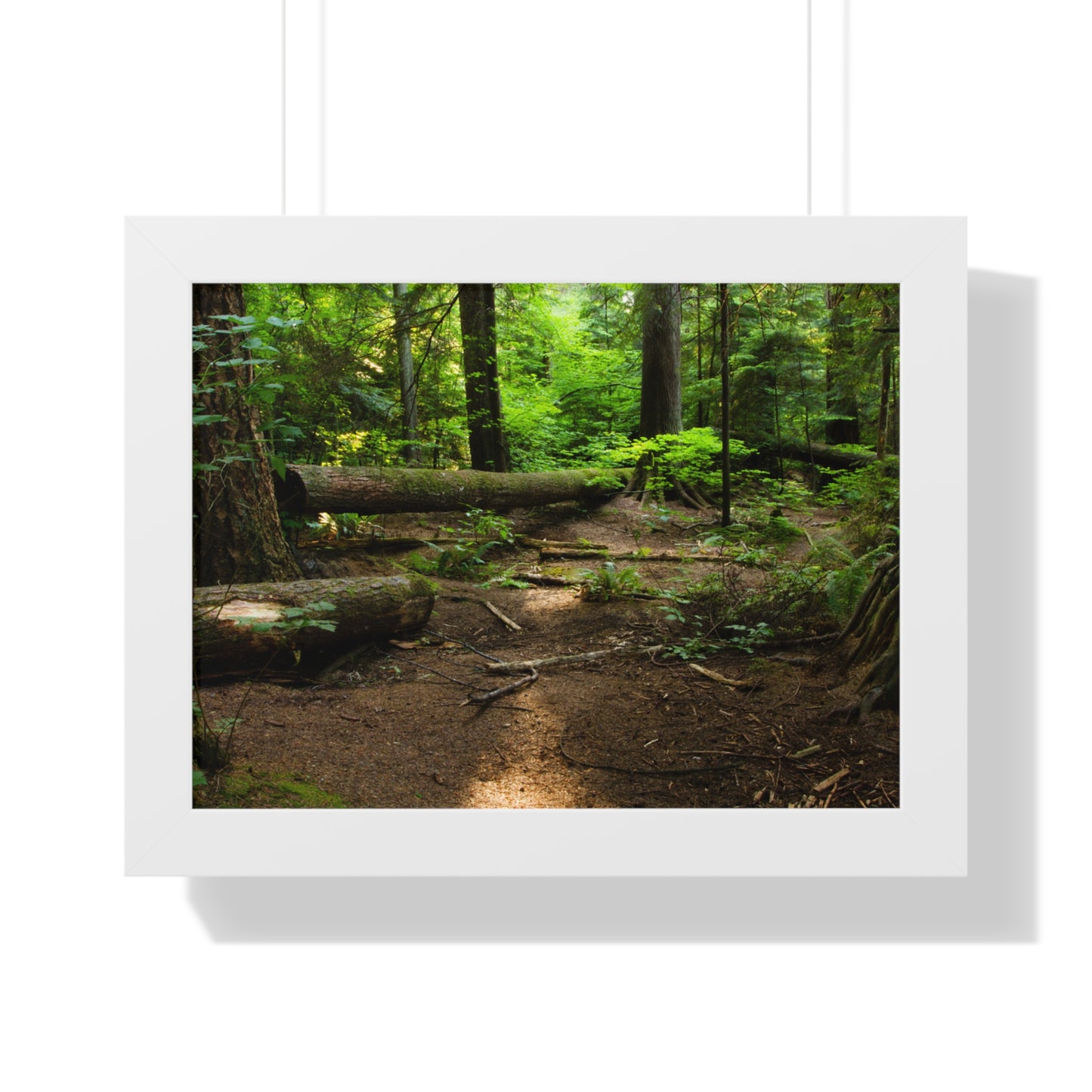 "Fallen Tree" Framed Horizontal Poster