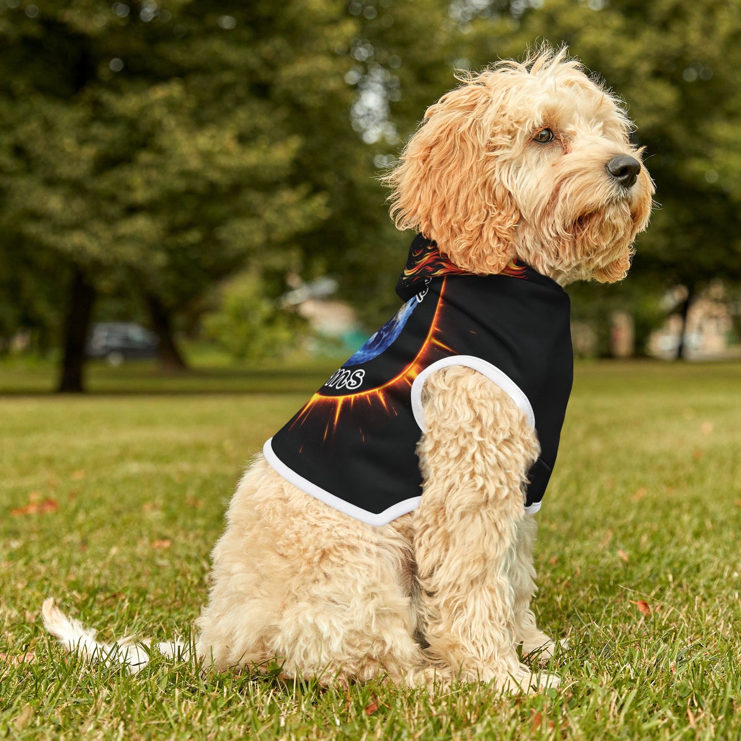 "Stone Customs" Logo Pet Hoodie