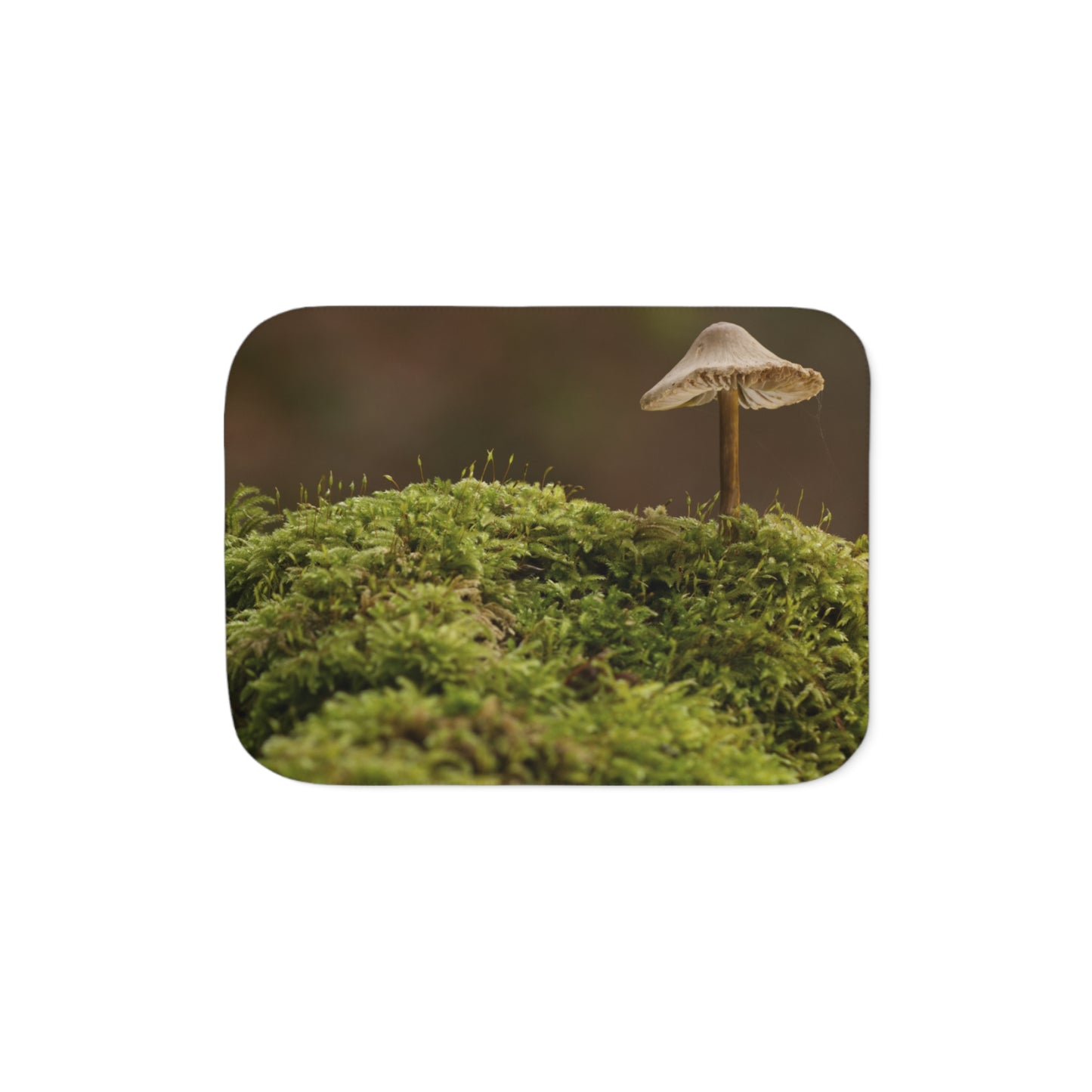 “Mushroom On Mossy Mound”  Sherpa Blanket