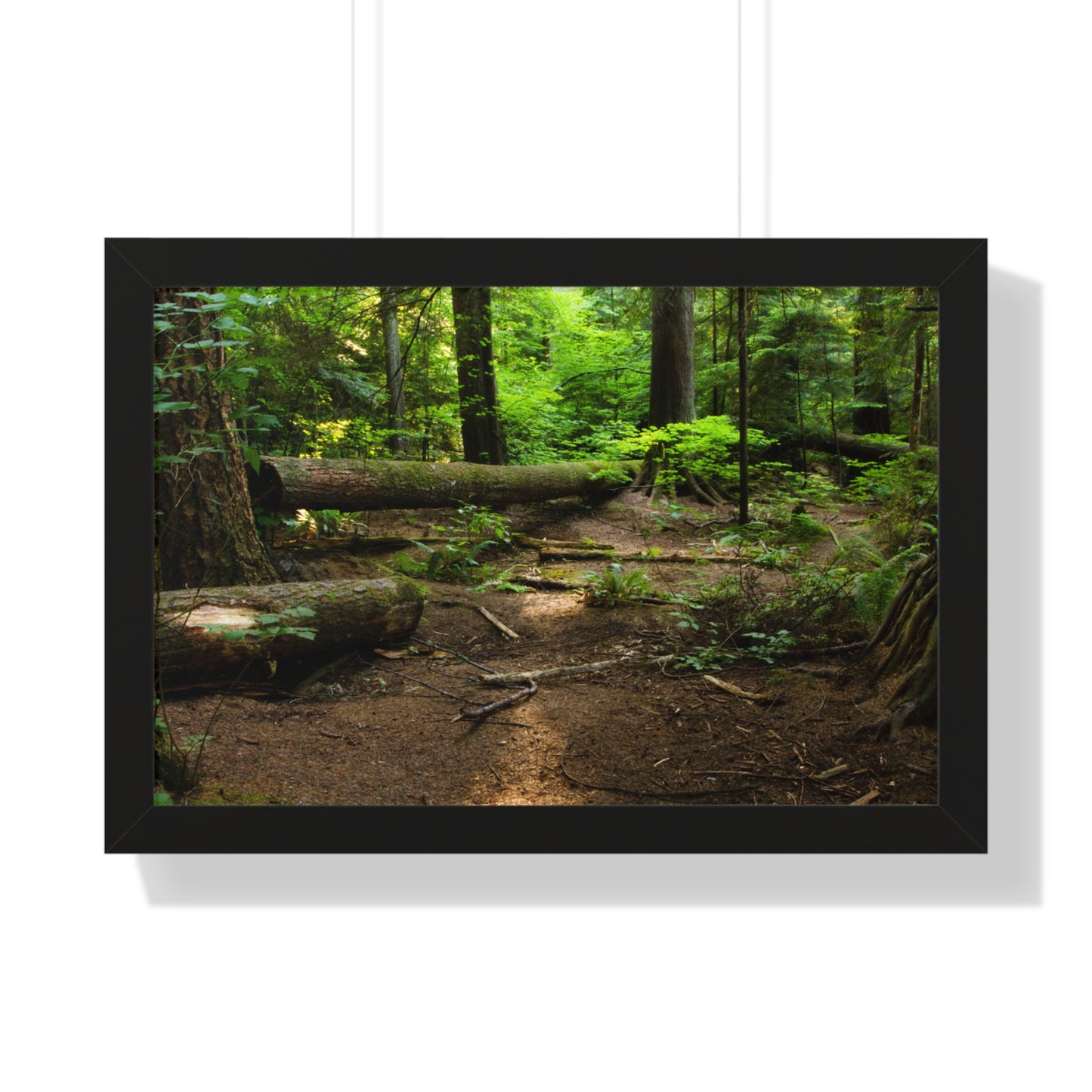 "Fallen Tree" Framed Horizontal Poster