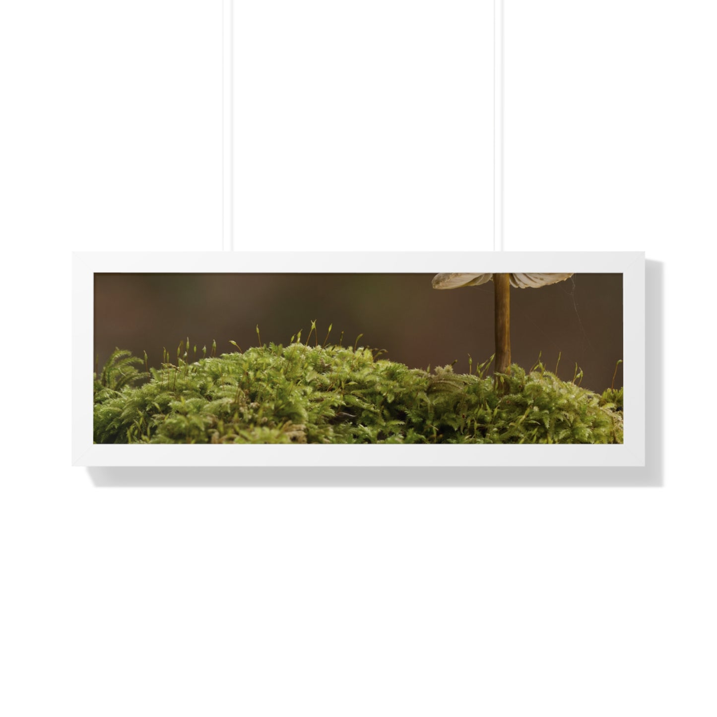 "Mushroom on Mossy Mound" Framed Horizontal Poster