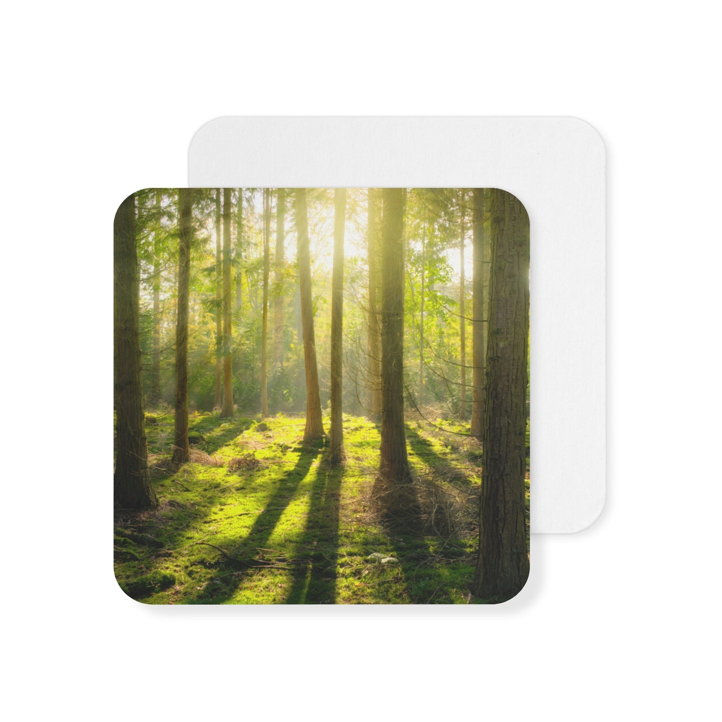 "Mossy Woodland" Coasters (50, 100 pcs)