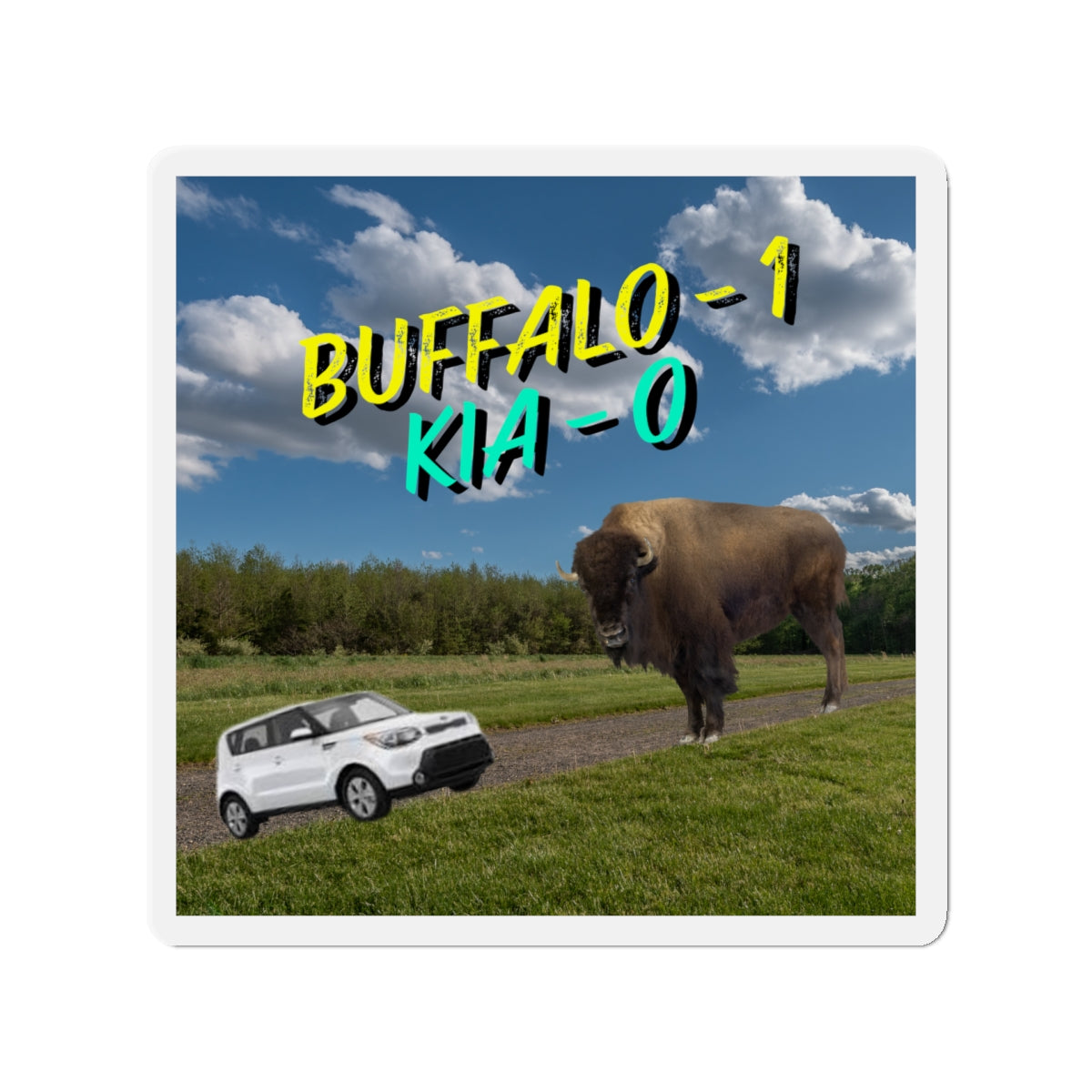 "Buffalo vs Kia" Die-Cut Magnets