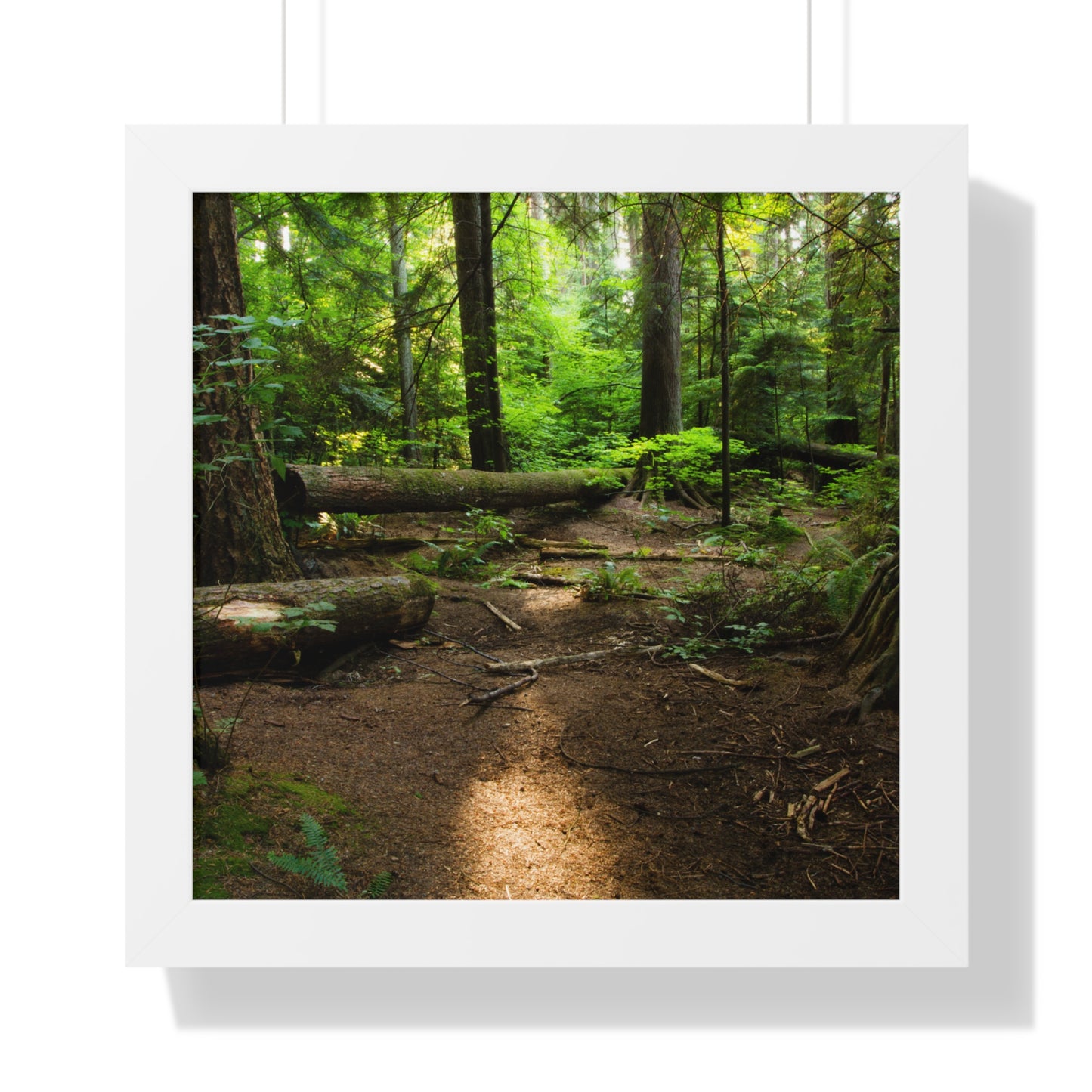 "Fallen Tree" Framed Horizontal Poster