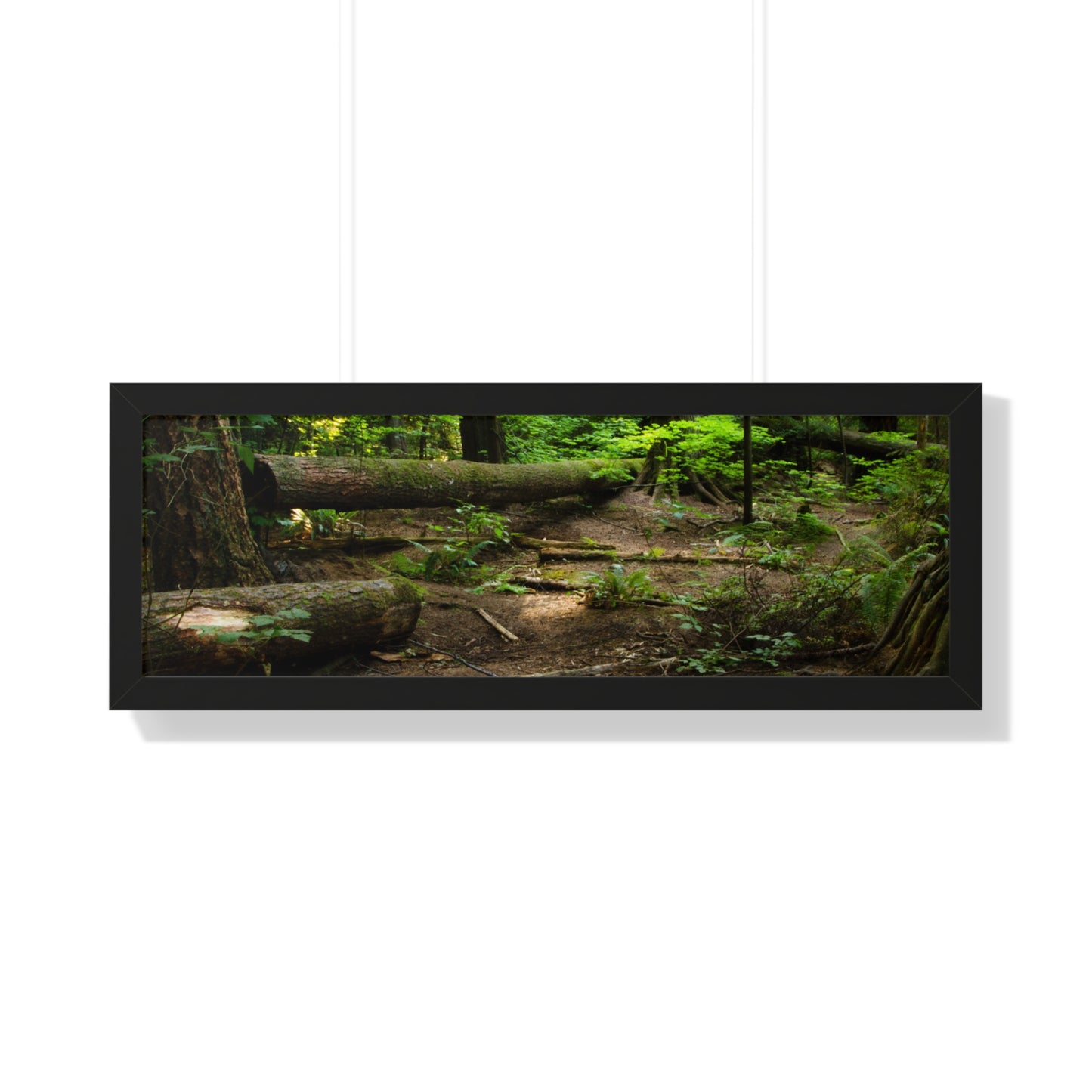 "Fallen Tree" Framed Horizontal Poster