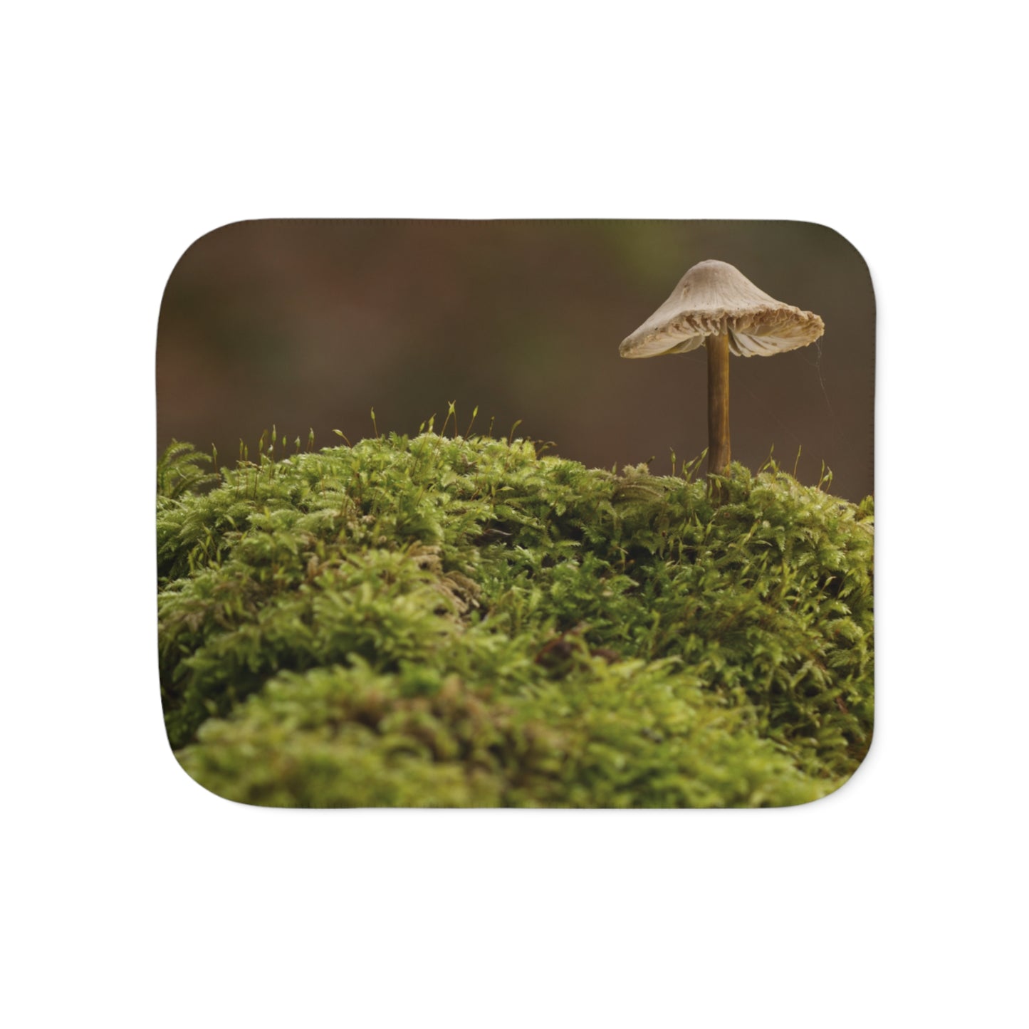 “Mushroom On Mossy Mound”  Sherpa Blanket
