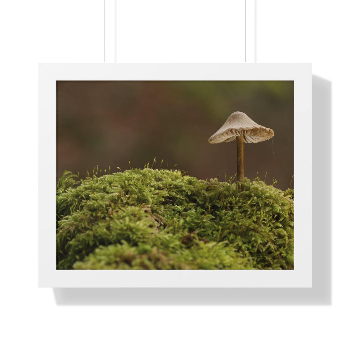 "Mushroom on Mossy Mound" Framed Horizontal Poster