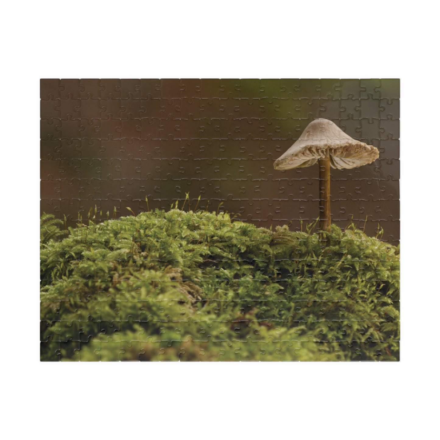 Horizontal "Mushroom on Mossy Mound" Puzzle (110, 252, 520, 1014-piece)