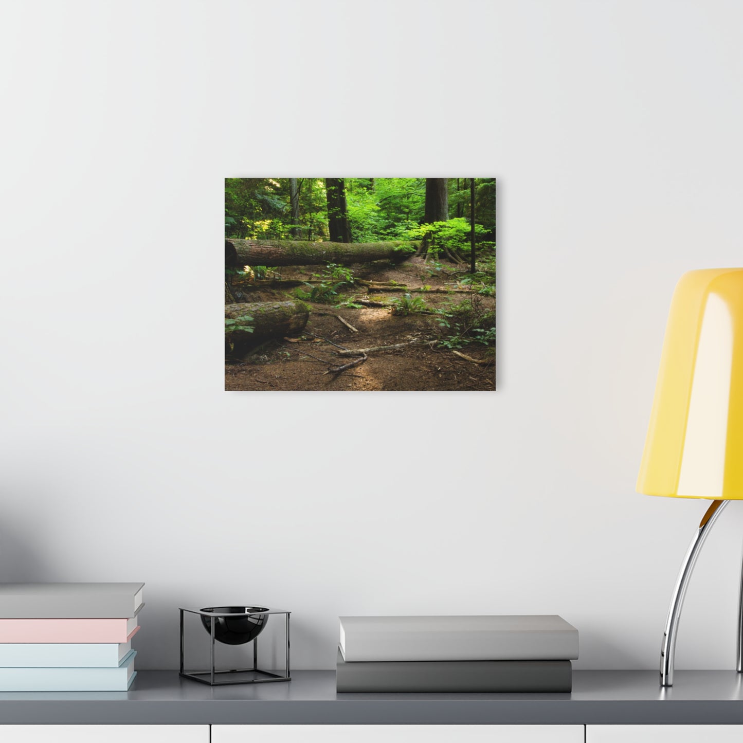 “Fallen Tree” Acrylic Prints (French Cleat Hanging)