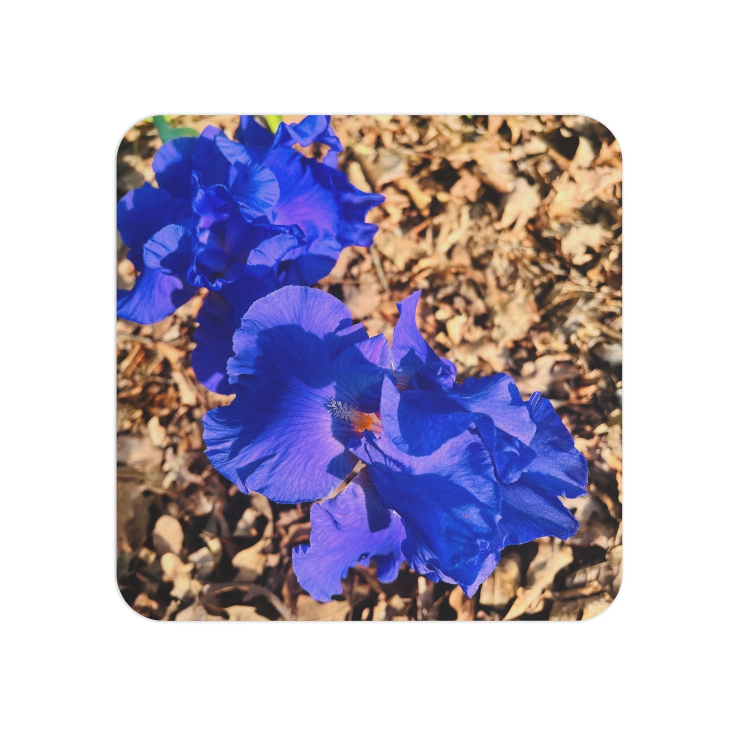 "Blue Flowers" Coasters (50, 100 pcs)