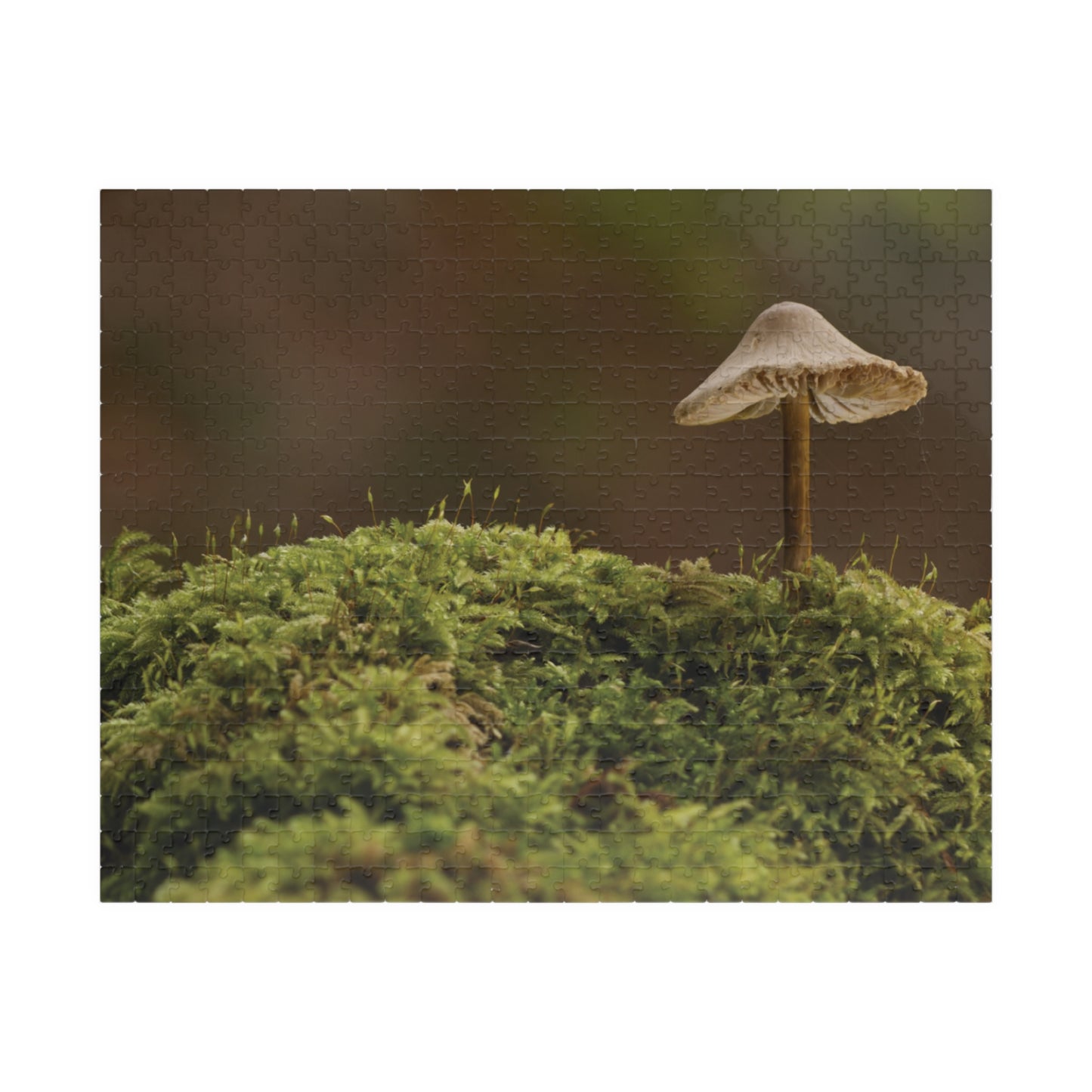 Horizontal "Mushroom on Mossy Mound" Puzzle (110, 252, 520, 1014-piece)