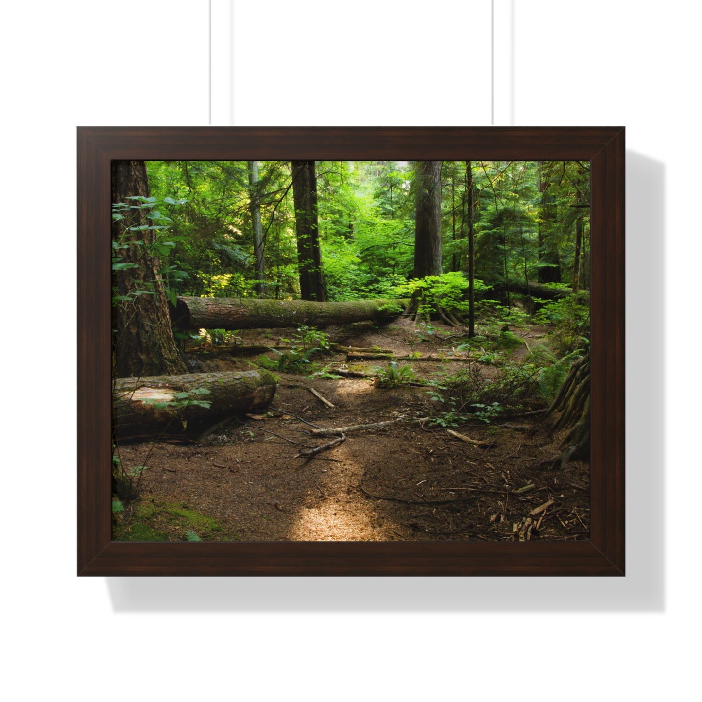 "Fallen Tree" Framed Horizontal Poster