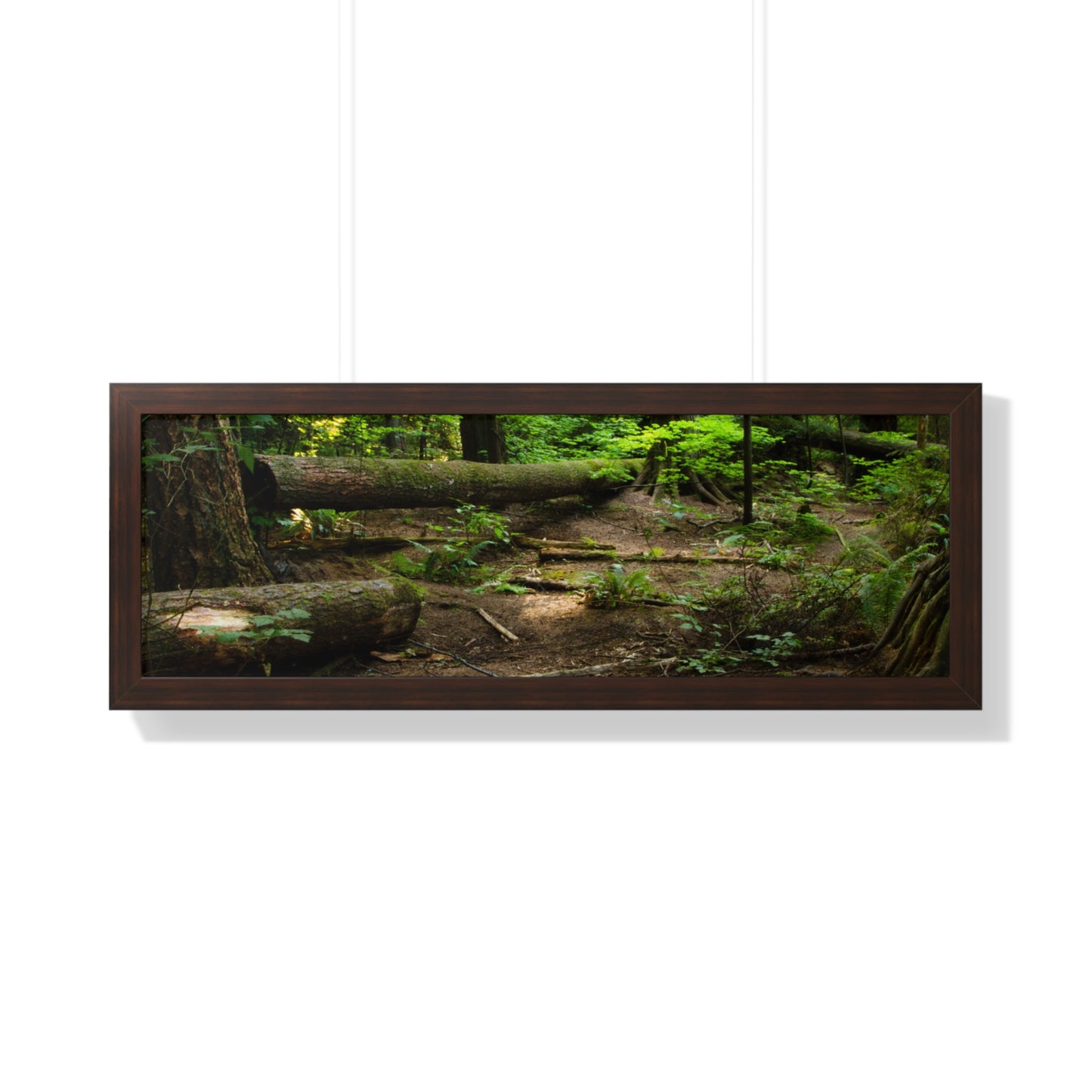 "Fallen Tree" Framed Horizontal Poster