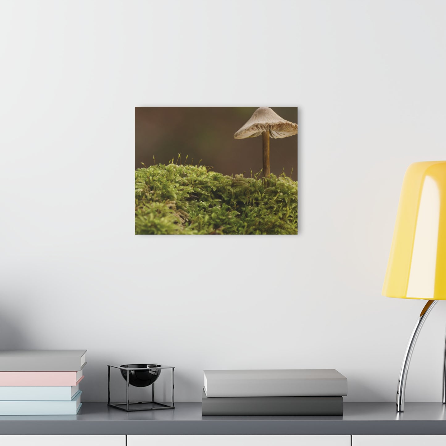 “Mushroom On Mossy Mound” Acrylic Prints (French Cleat Hanging)