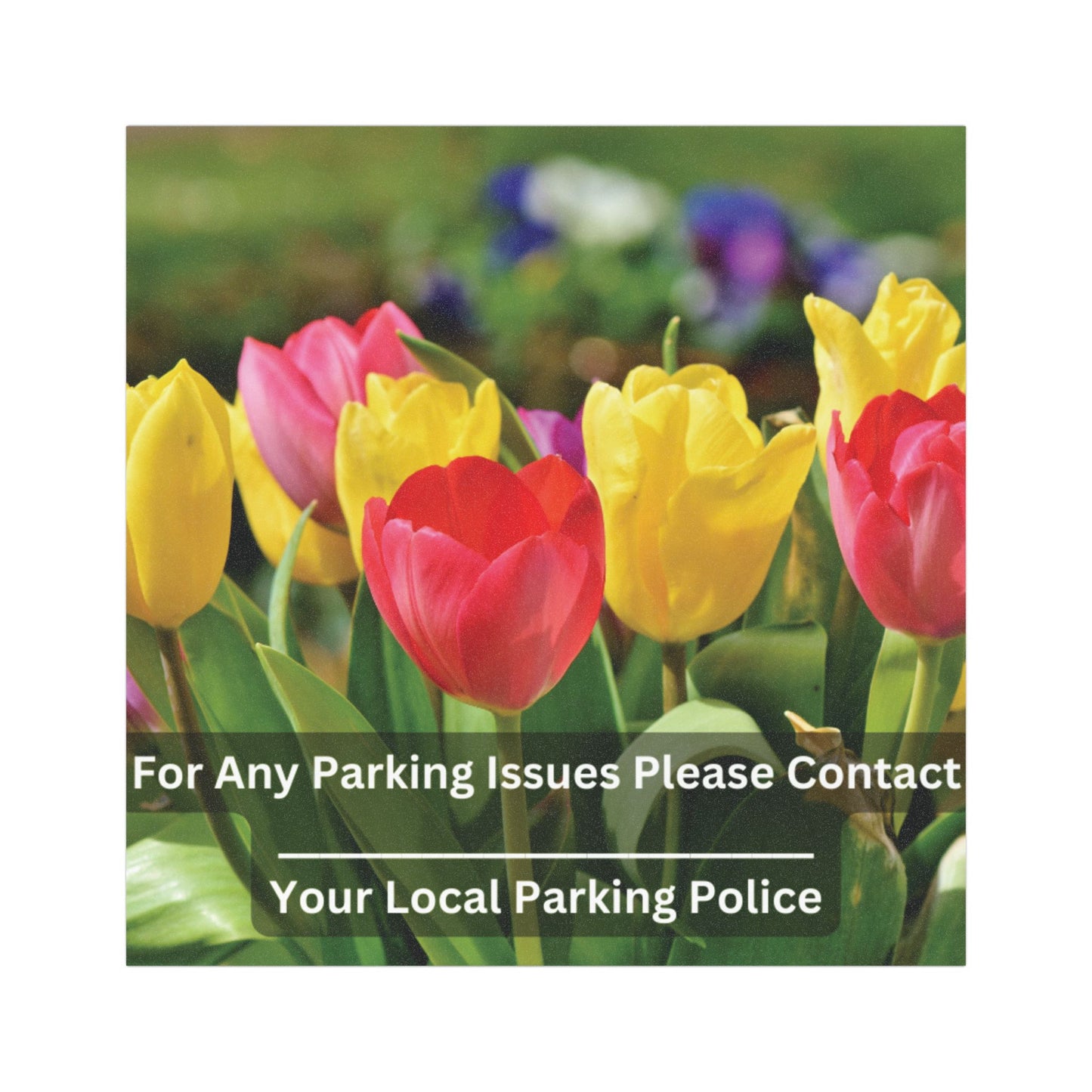 "Parking Police" Car Magnets