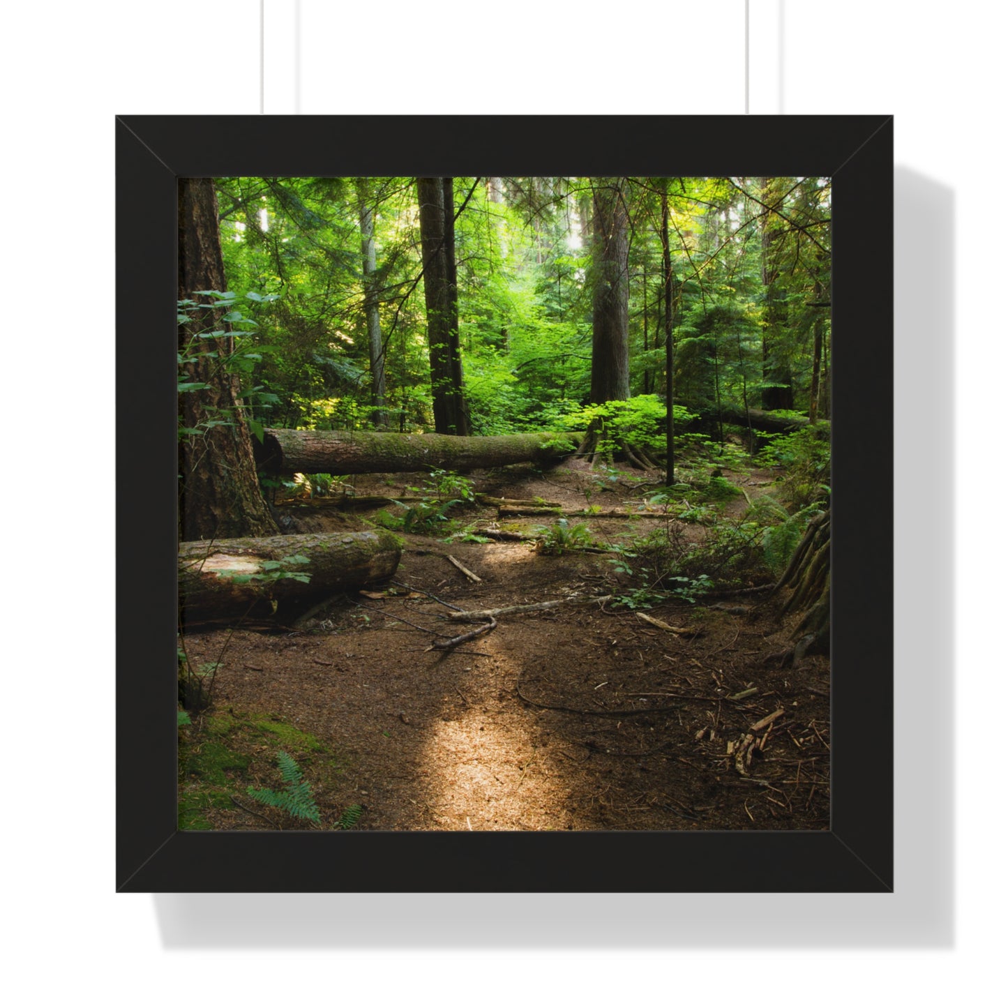 "Fallen Tree" Framed Horizontal Poster