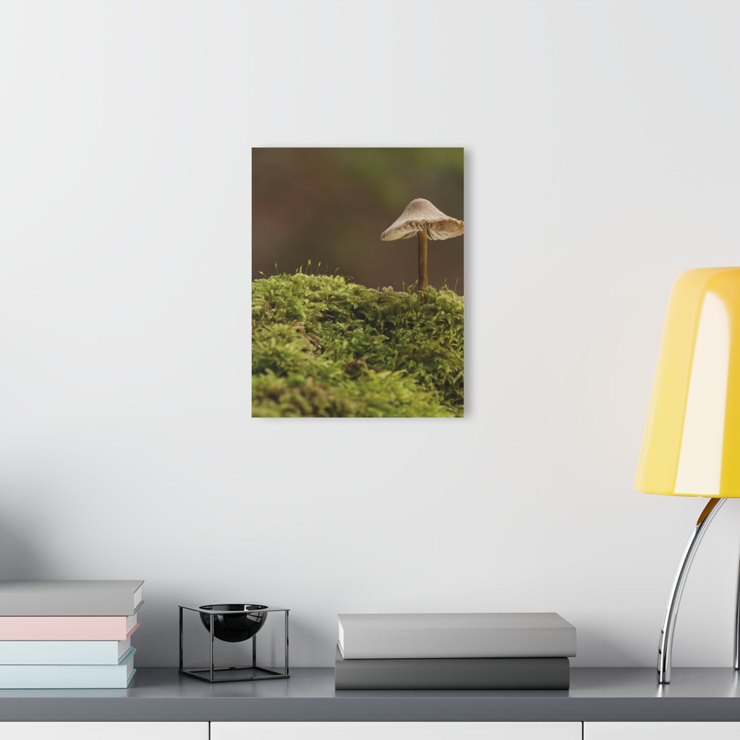 “Mushroom On Mossy Mound” Acrylic Prints (French Cleat Hanging)