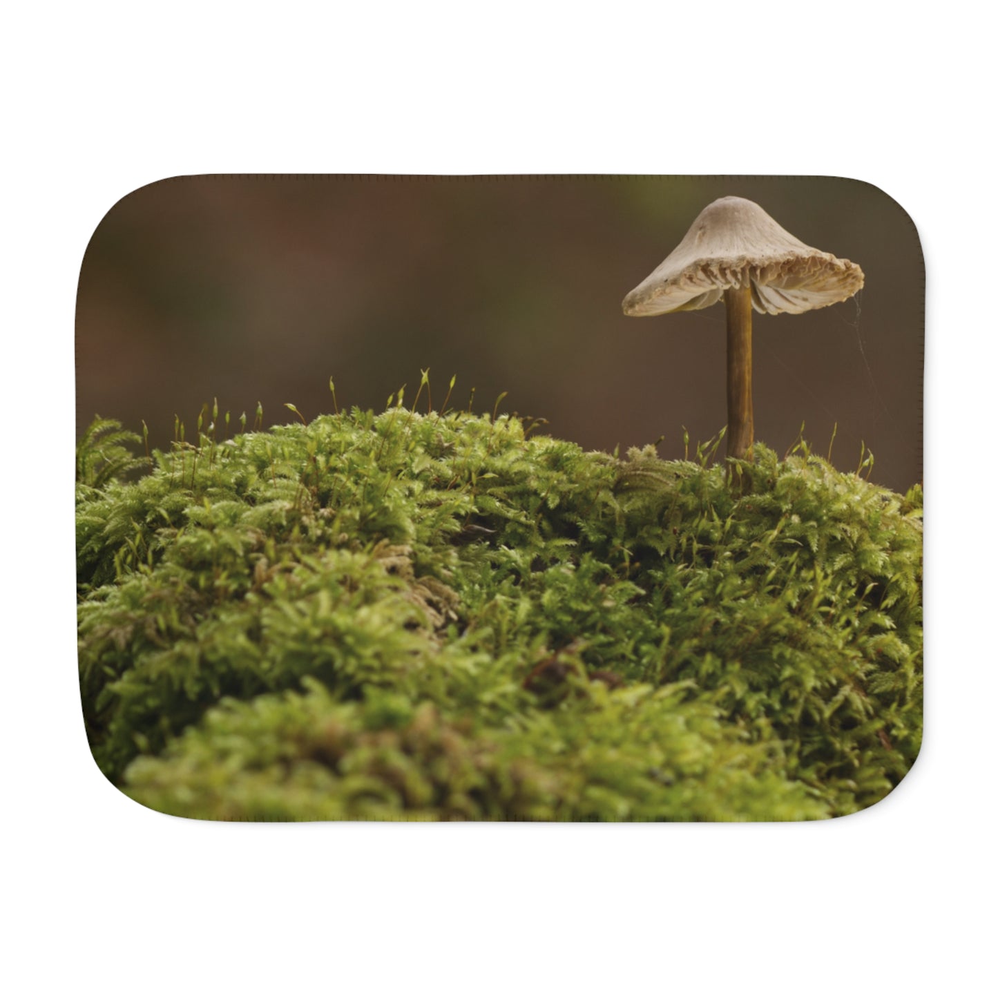 “Mushroom On Mossy Mound”  Sherpa Blanket