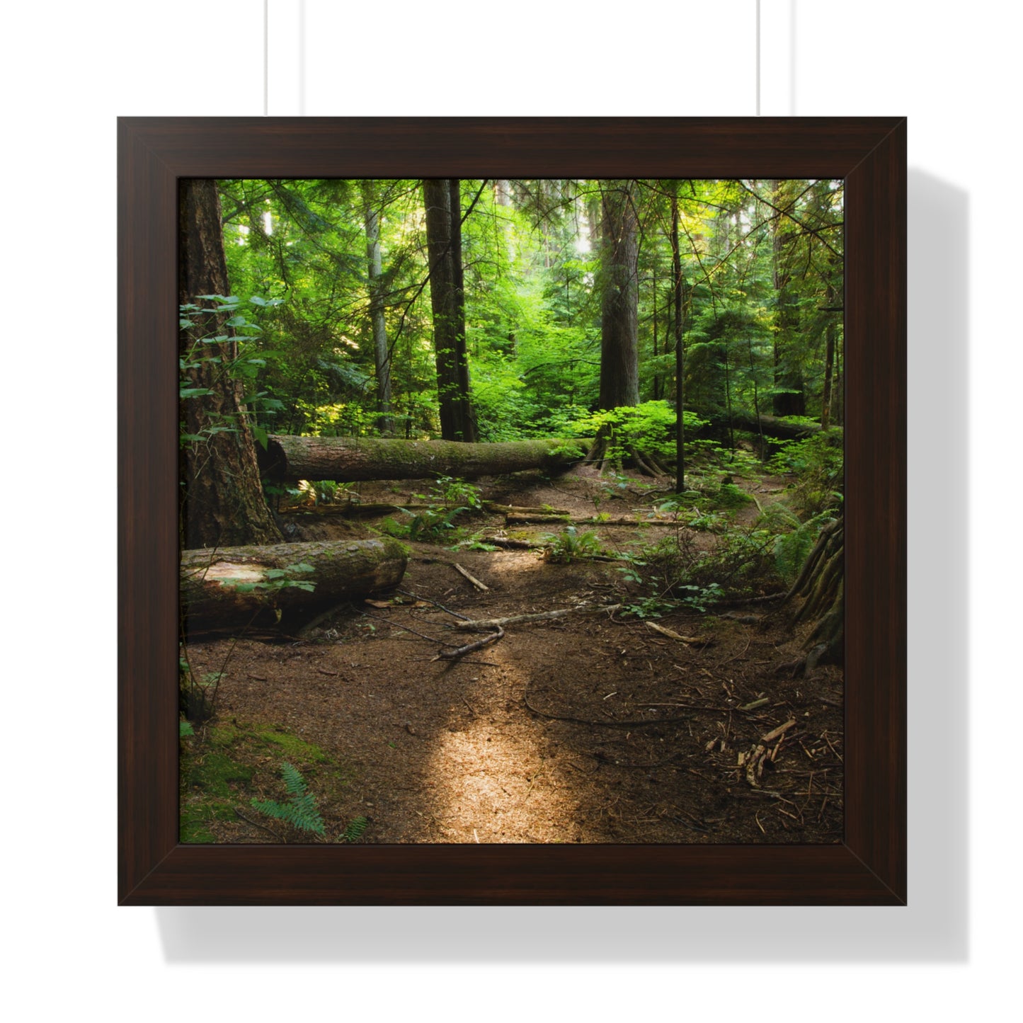 "Fallen Tree" Framed Horizontal Poster