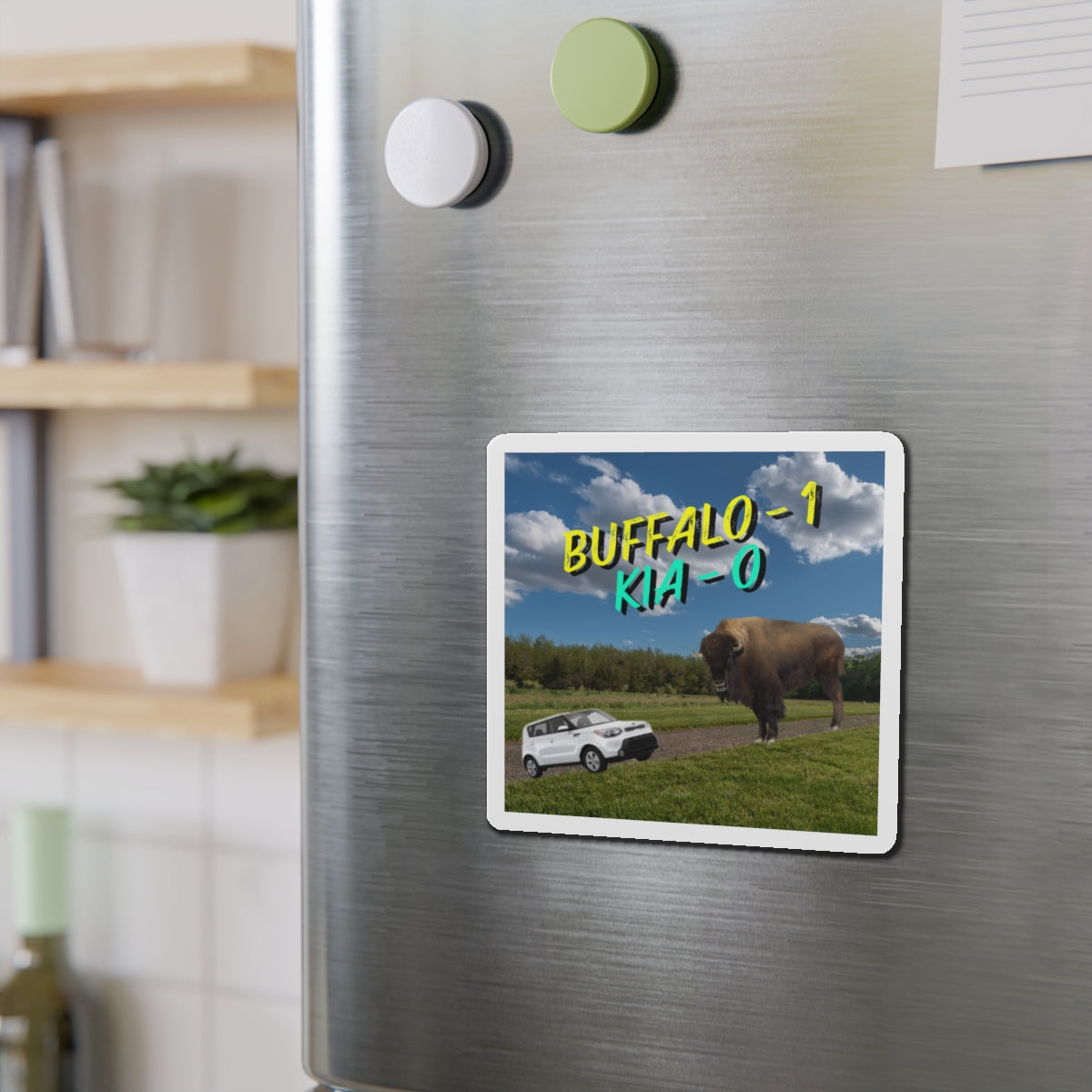 "Buffalo vs Kia" Die-Cut Magnets