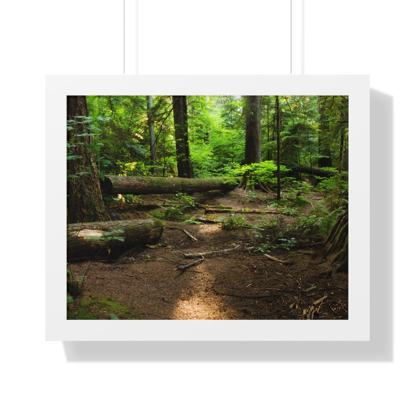 "Fallen Tree" Framed Horizontal Poster