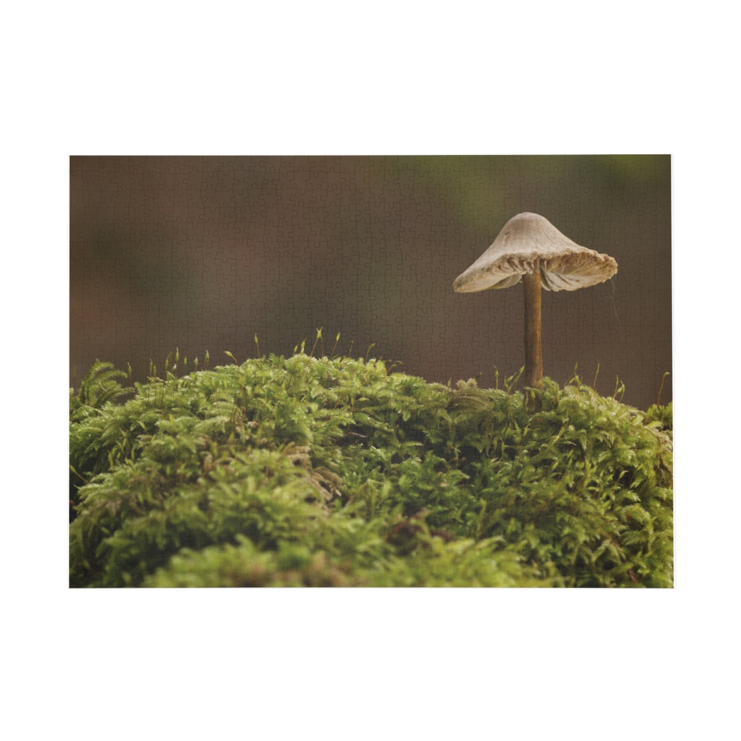 "Mushroom on Mossy Mound" Puzzle (96, 252, 500, 1000-Piece)