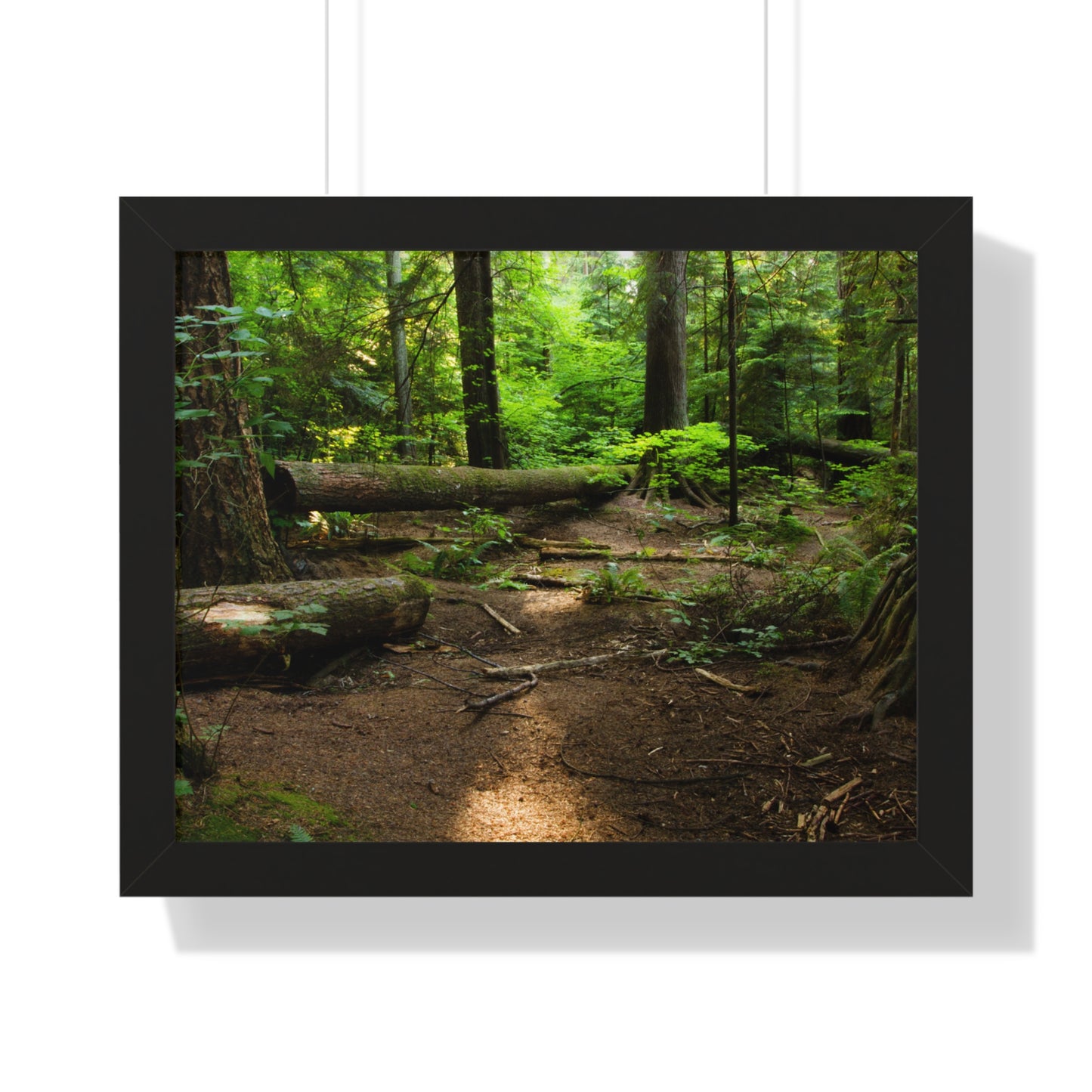 "Fallen Tree" Framed Horizontal Poster