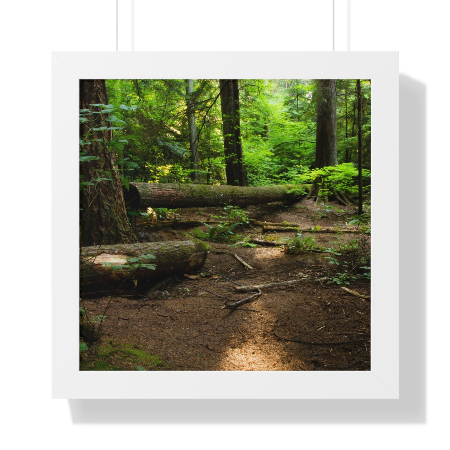 "Fallen Tree" Framed Vertical Poster