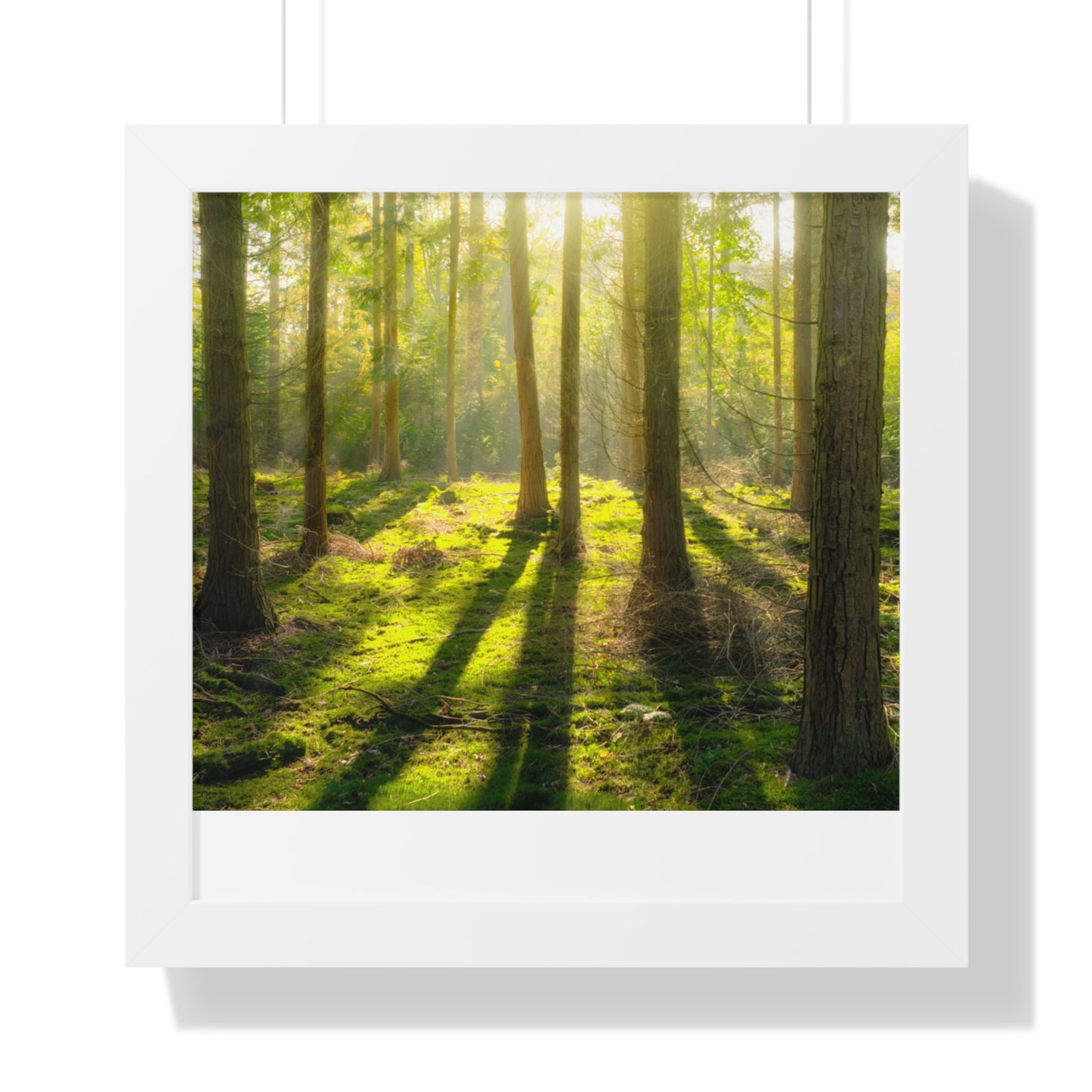 "Mossy Woodland" Framed Horizontal Poster