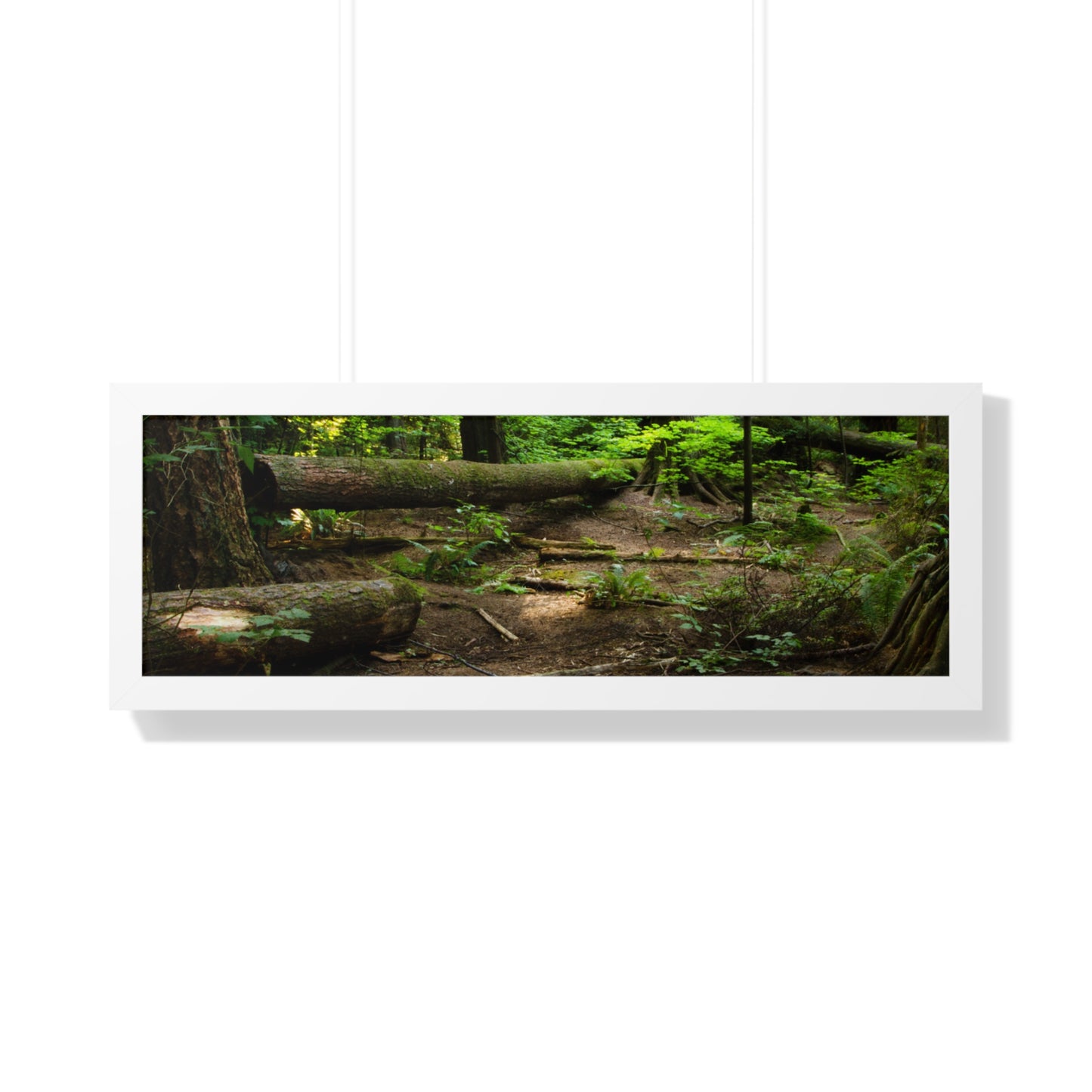 "Fallen Tree" Framed Horizontal Poster